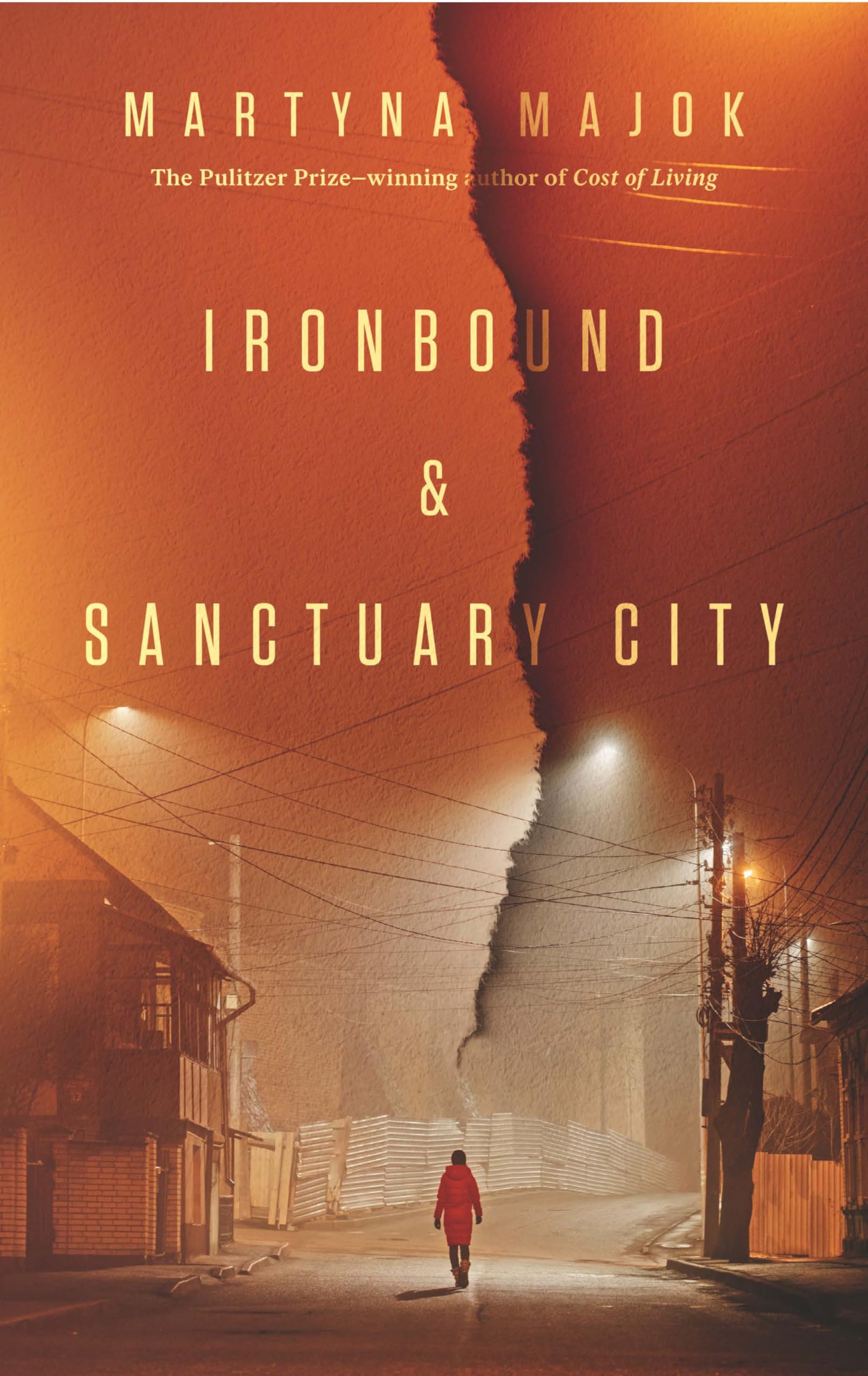 Ironbound & Sanctuary City: Two Plays,Used
