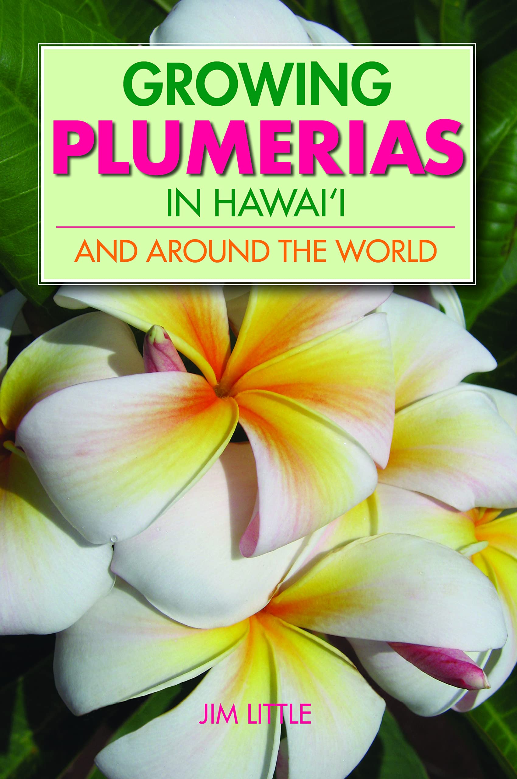 Growing Plumerias in Hawaii,New