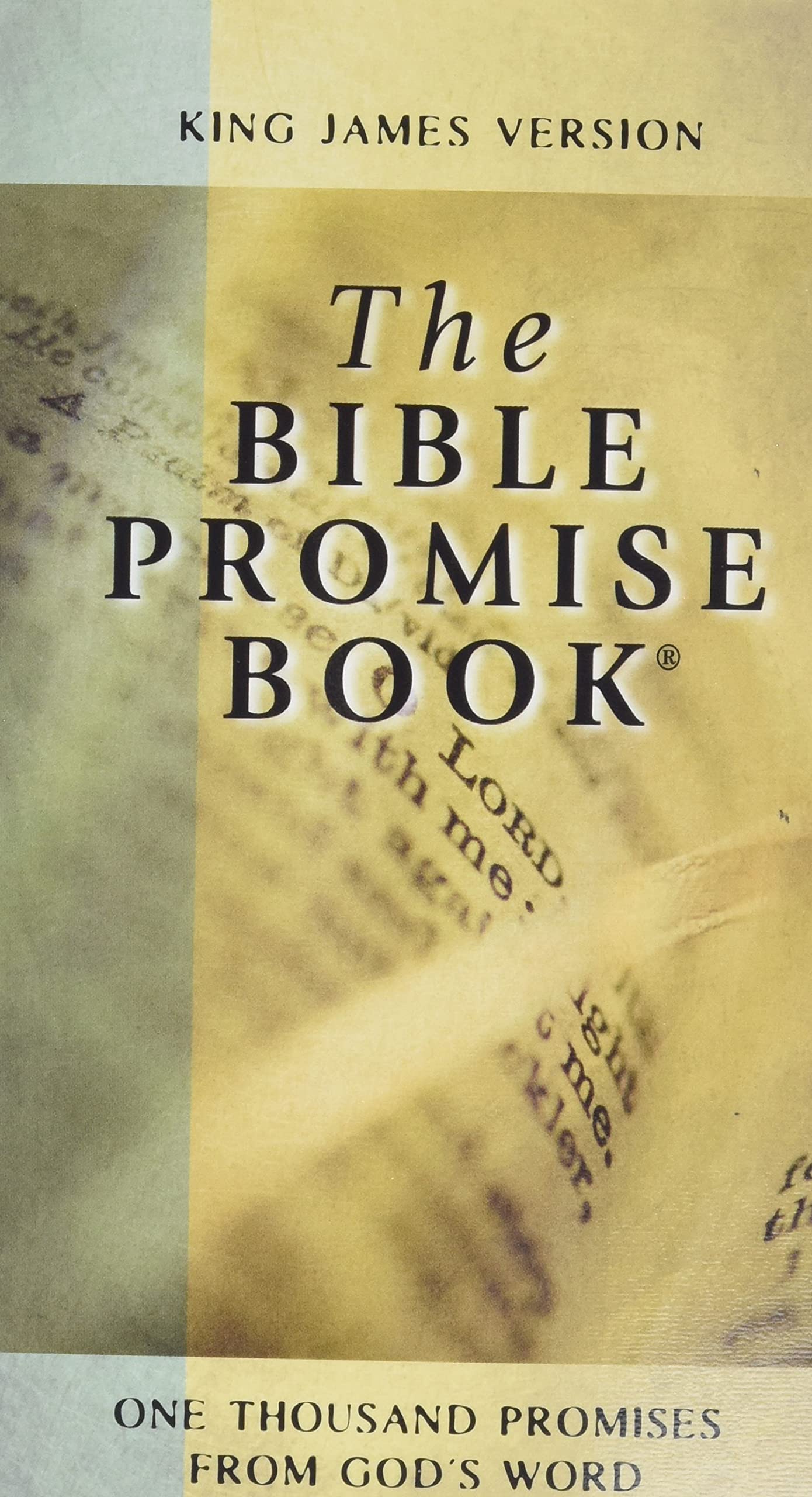 The Bible Promise Book KJV,Used