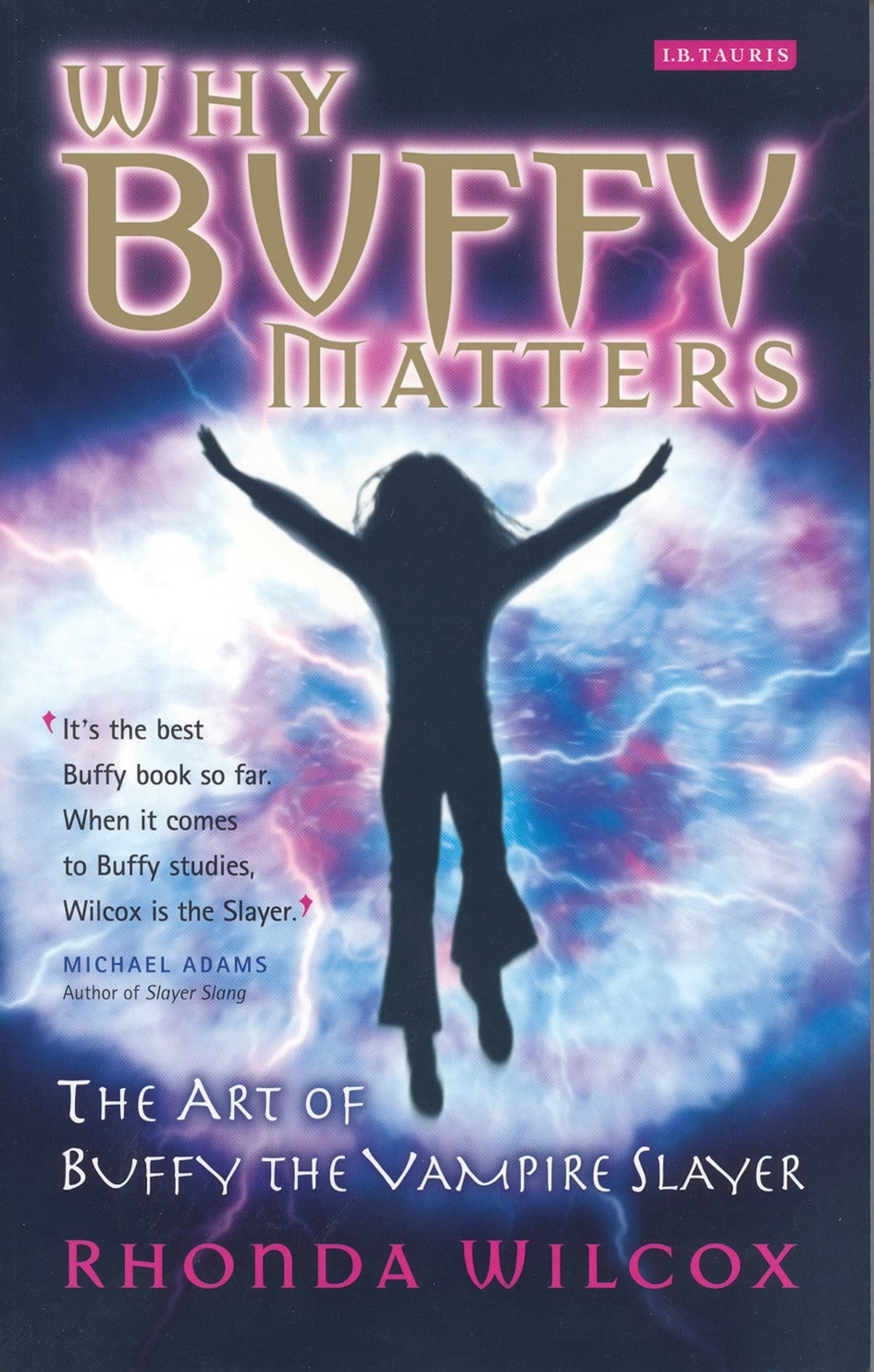 Why Buffy Matters: The Art Of Buffy The Vampire Slayer,Used
