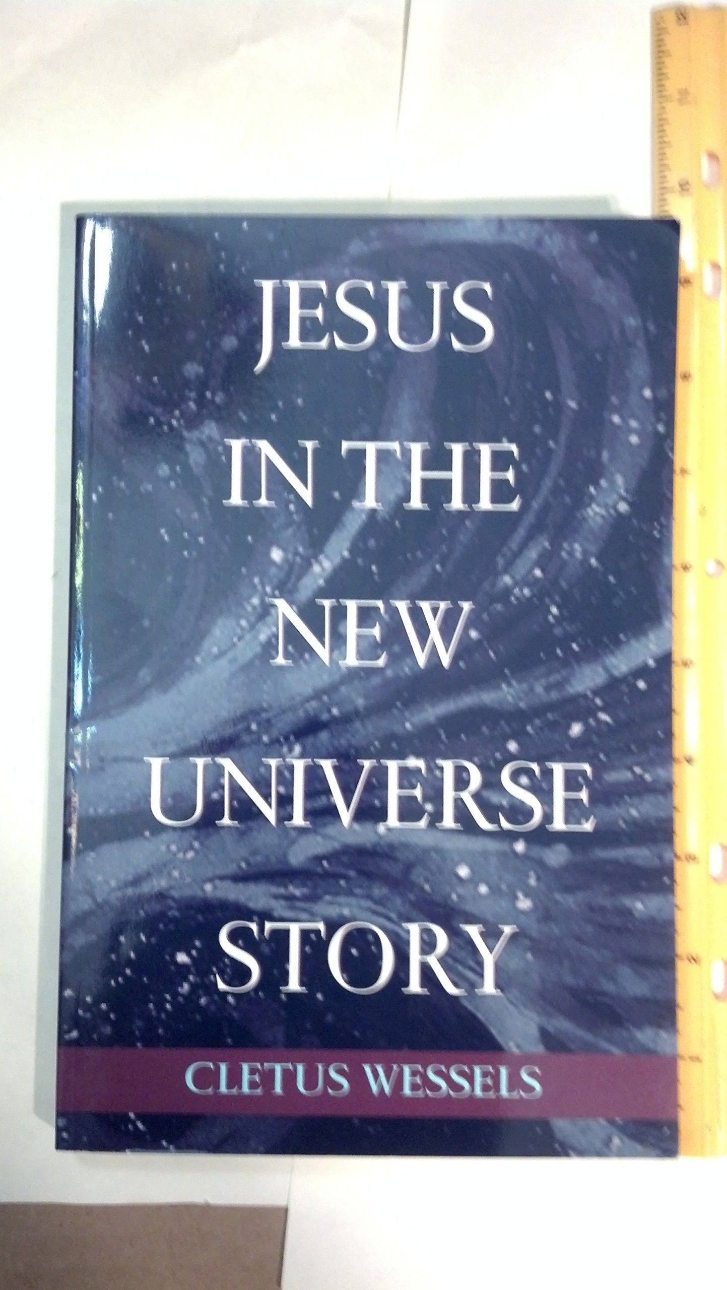 Jesus in the New Universe Story,Used