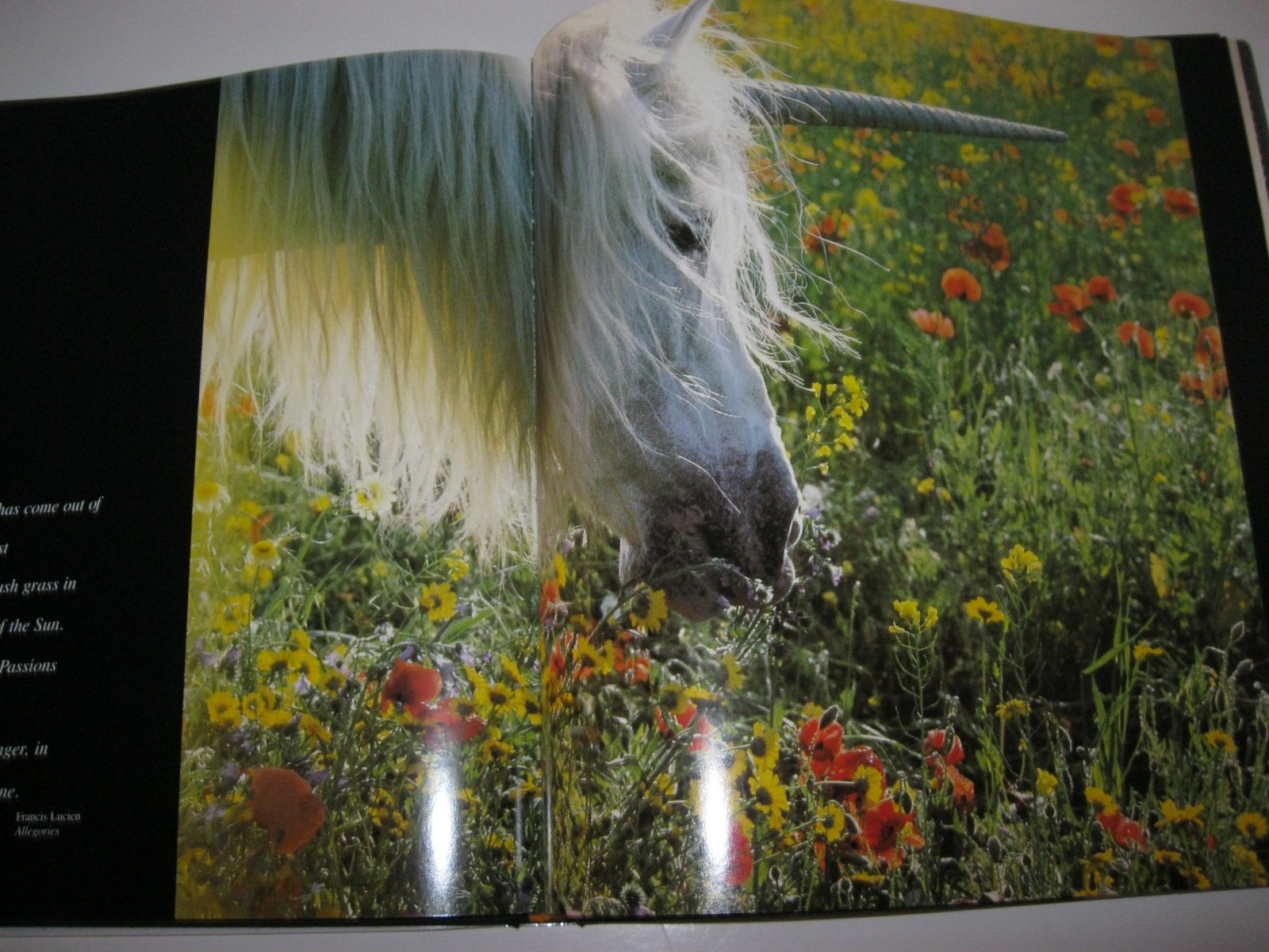 Unicorns I Have Known,New