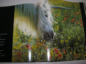 Unicorns I Have Known,New