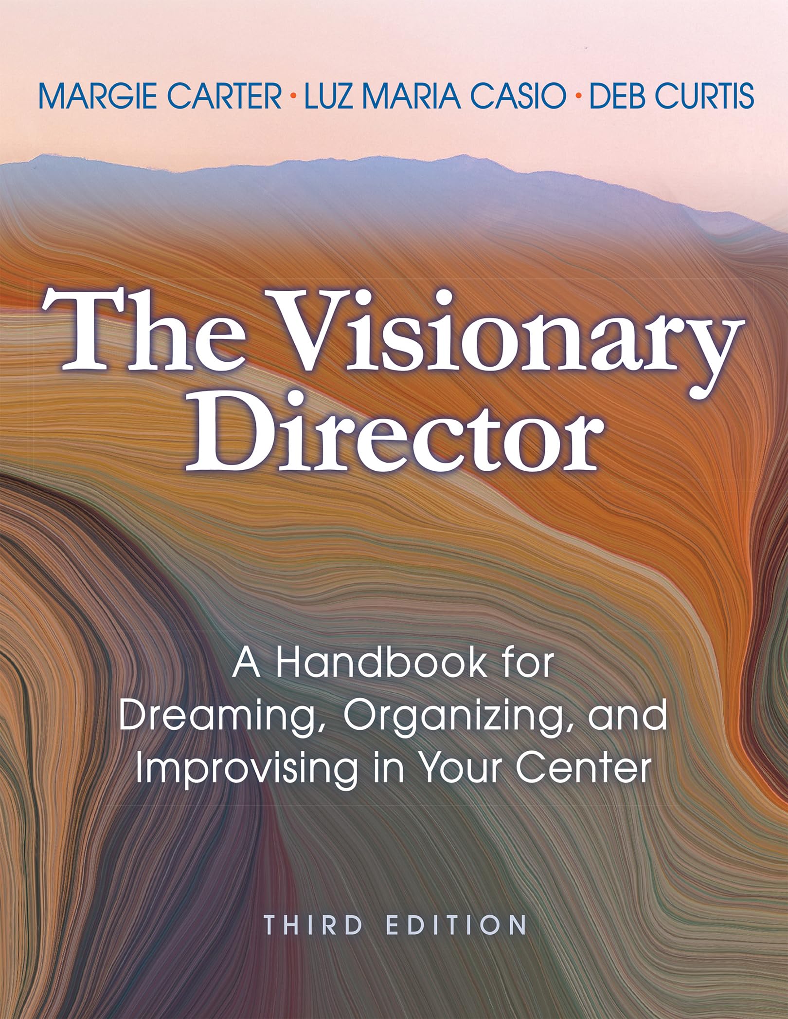 The Visionary Director, Third Edition: A Handbook for Dreaming, Organizing, and Improvising in Your Center,Used