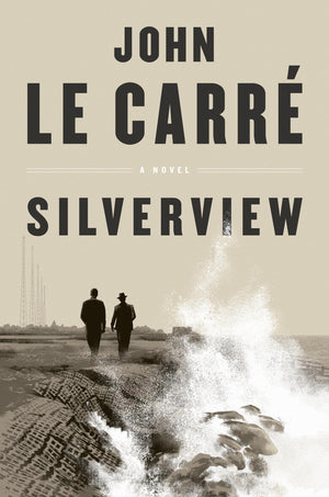 Silverview: A Novel-used