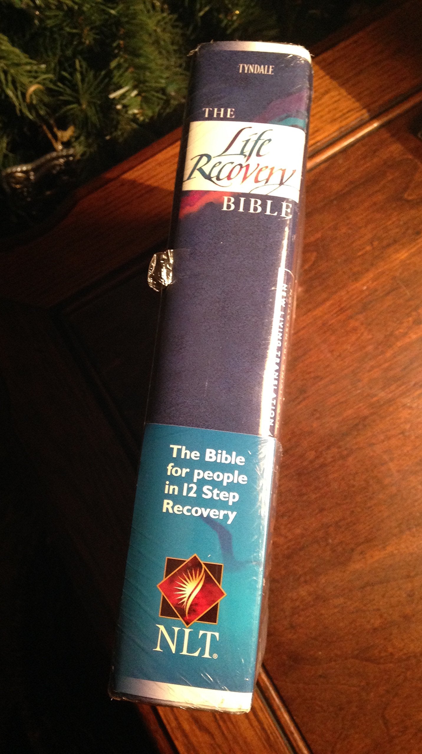 The Life Recovery Bible NLT,Used