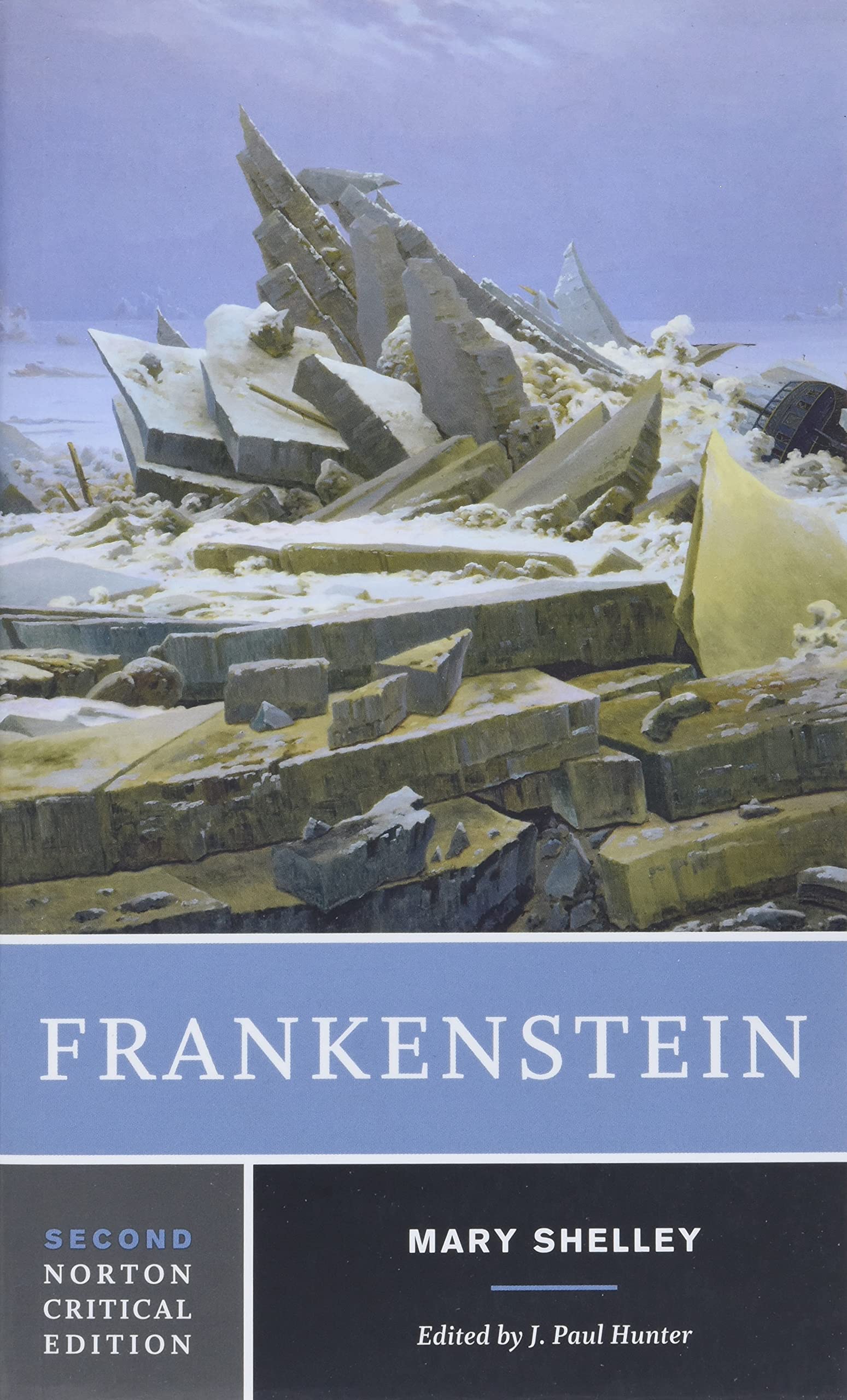 Frankenstein (Norton Critical Editions)-used