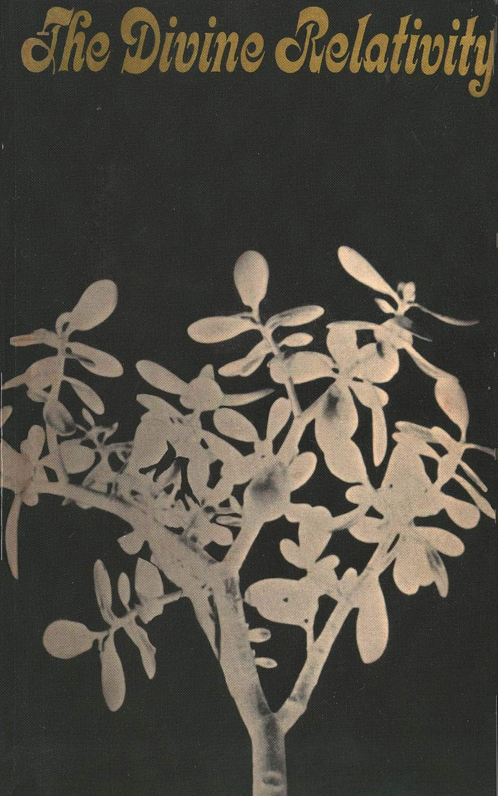 The Divine Relativity: A Social Conception Of God (The Terry Lectures Series)