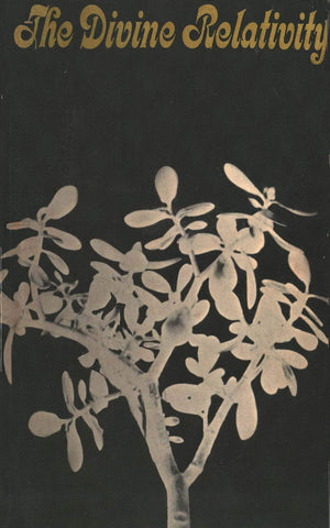 The Divine Relativity: A Social Conception Of God (The Terry Lectures Series)