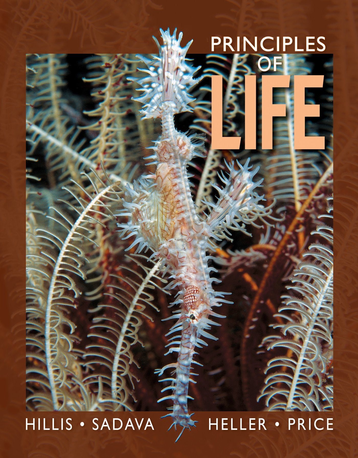 Principles of Life High School Edition,New