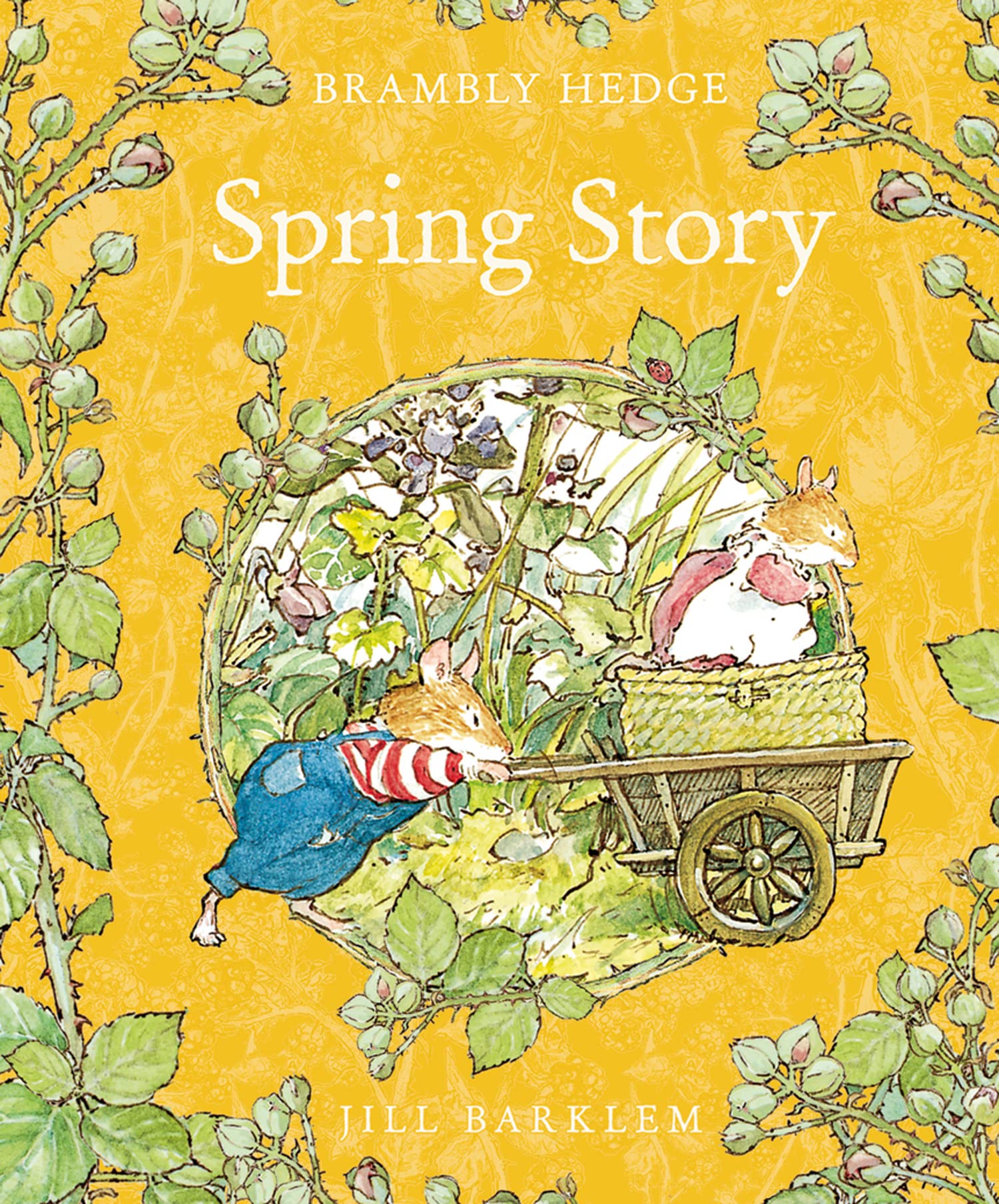 Spring Story: Introduce Children To The Seasons In The Gorgeously Illustrated Classics Of Brambly Hedge!