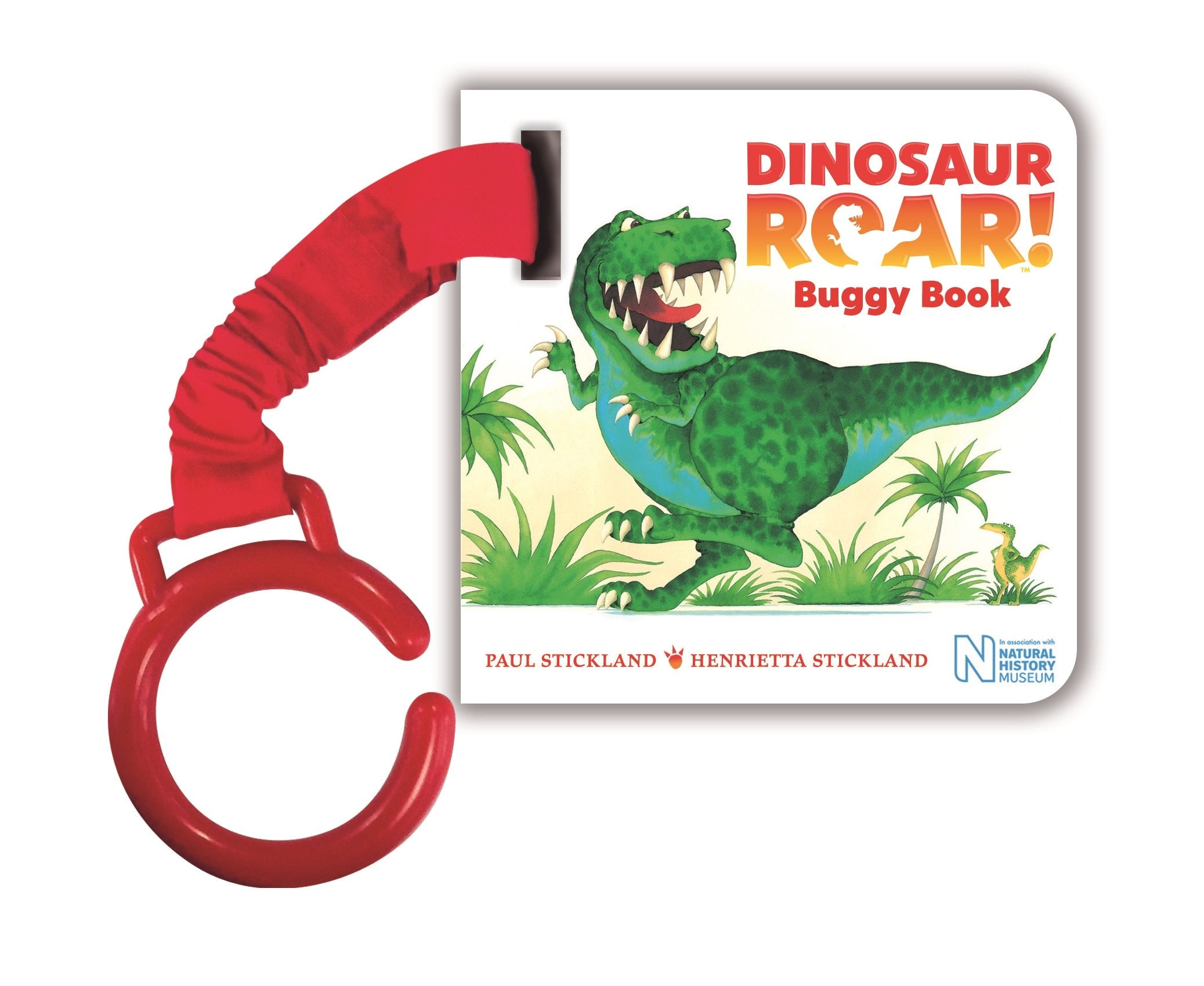 Dinosaur Roar! Buggy Book,Used