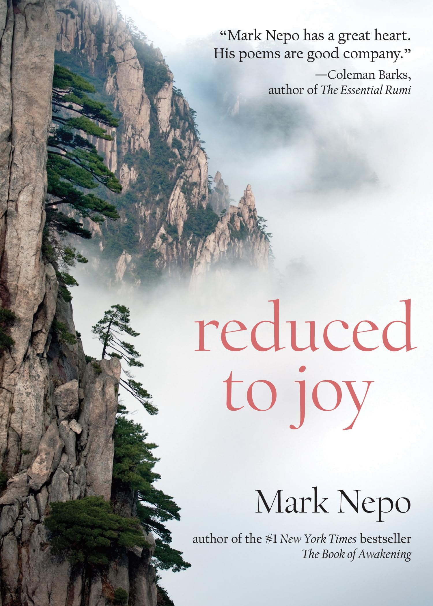 Reduced to Joy,Used