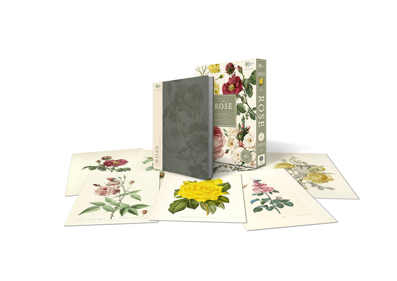 The Rose: The History of the Worlds Favourite Flower in 40 Captivating Roses with Classic Texts and Rare Beautiful Prints'In Sli,Used