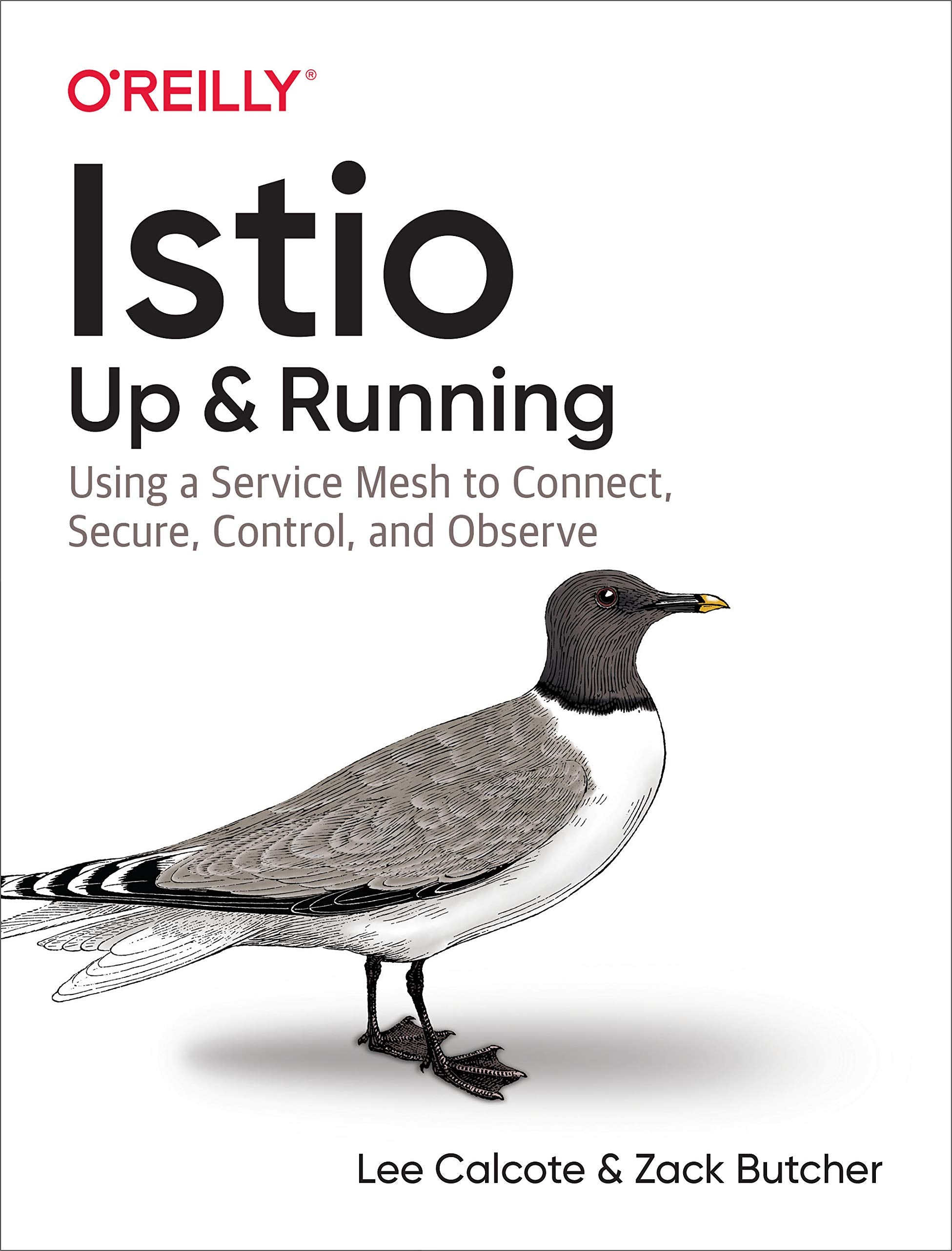 Istio: Up and Running: Using a Service Mesh to Connect, Secure, Control, and Observe,Used