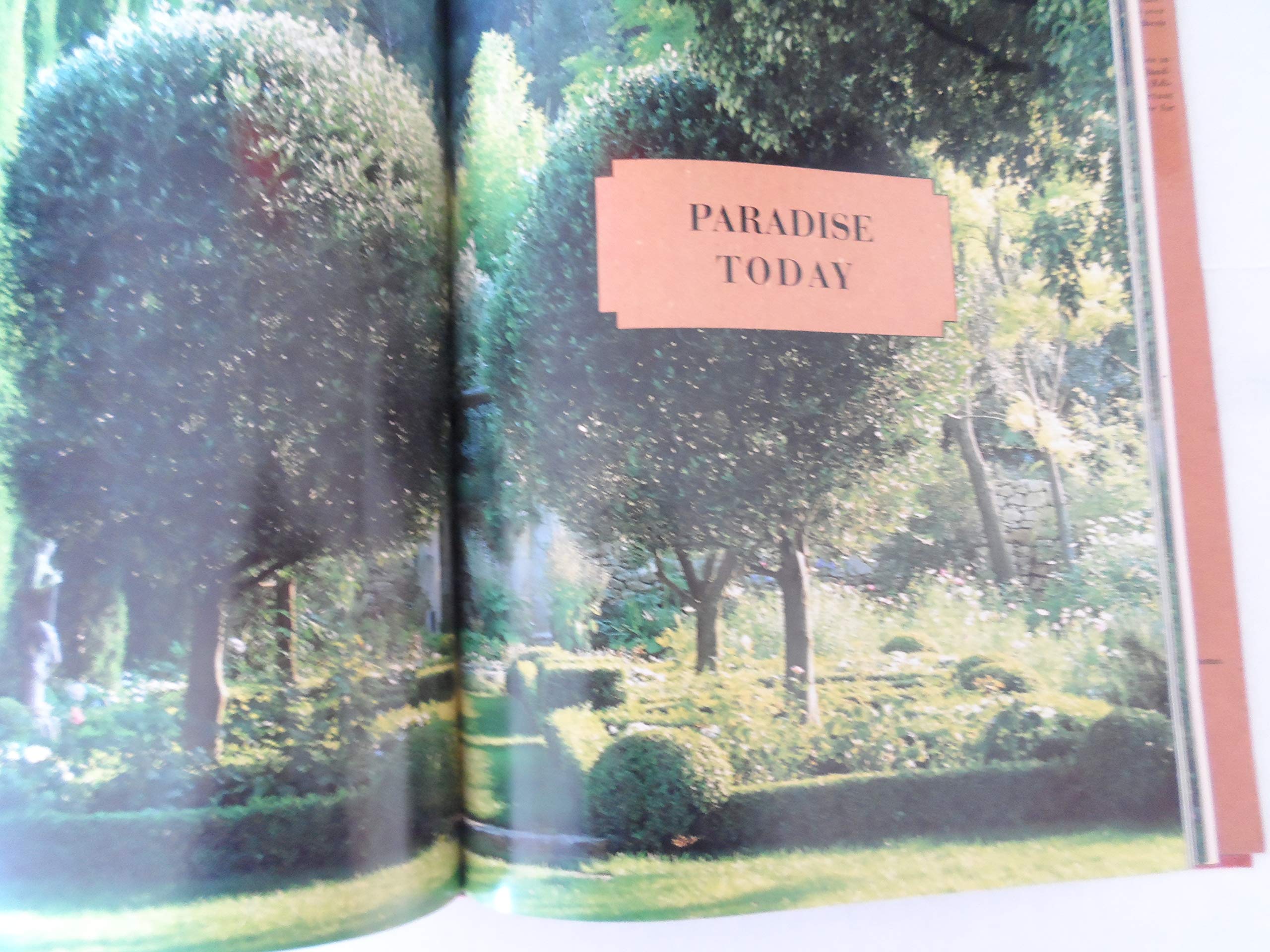 Gardens In Provence
