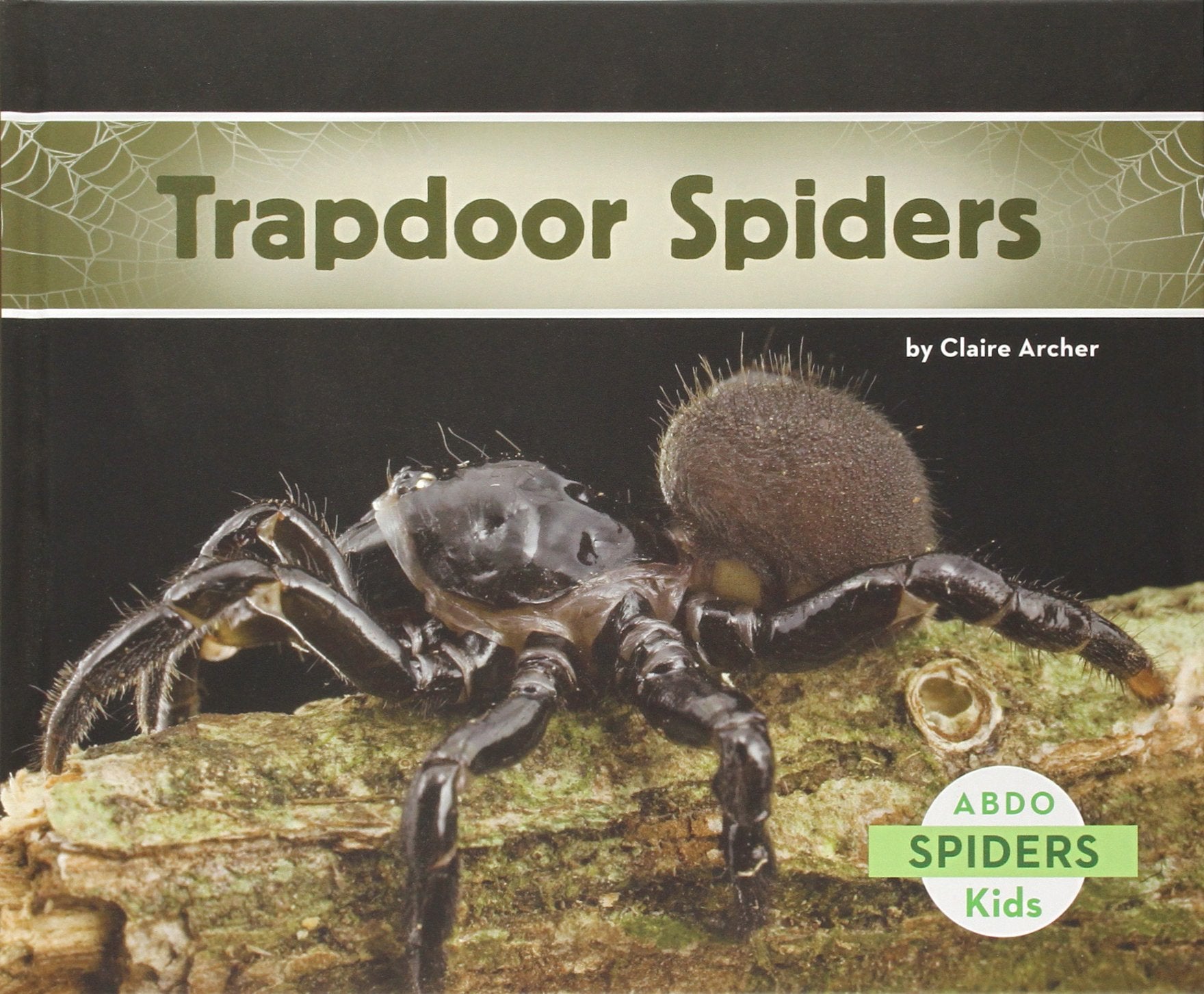 Trapdoor Spiders,Used