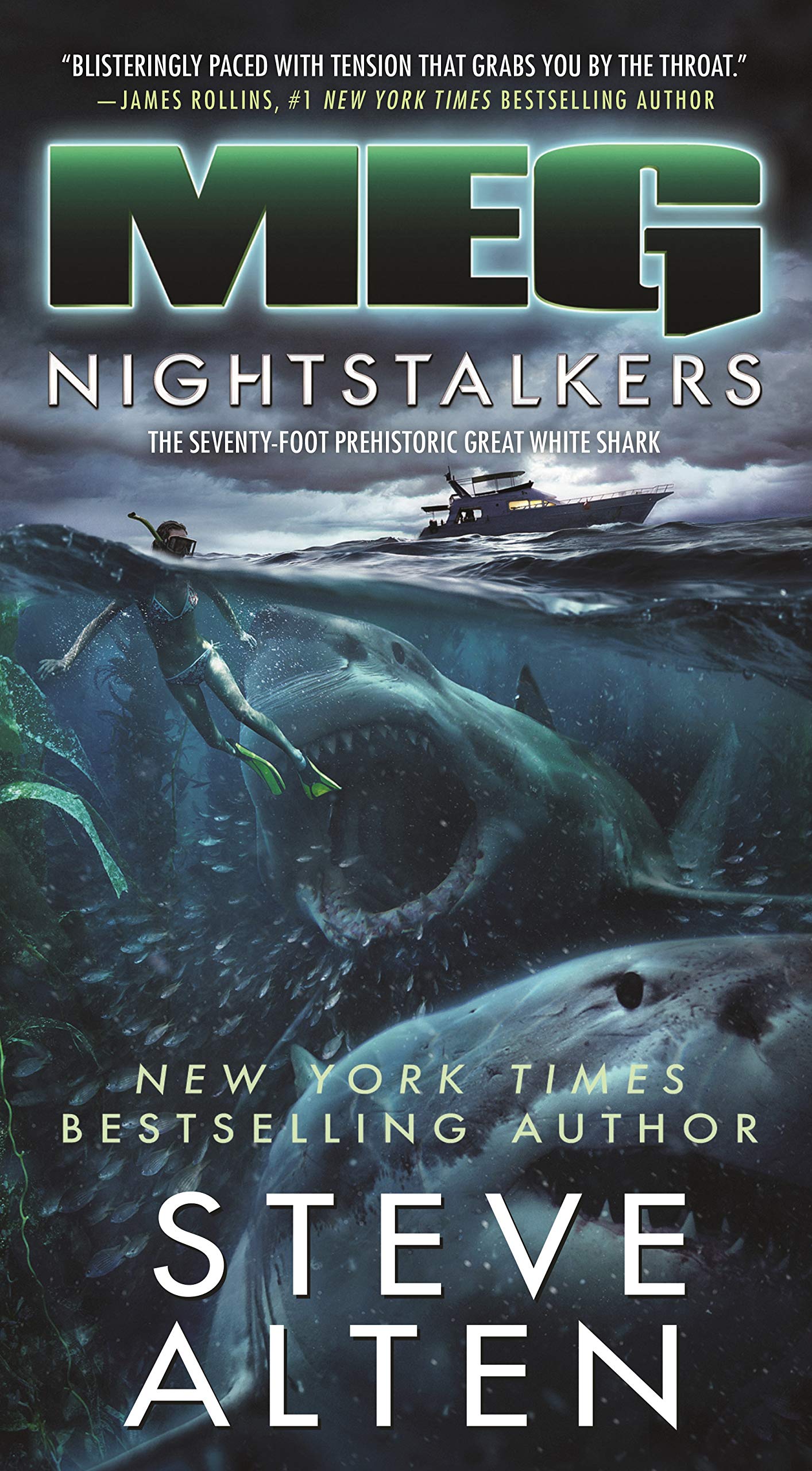 Meg: Nightstalkers (Meg, 5)