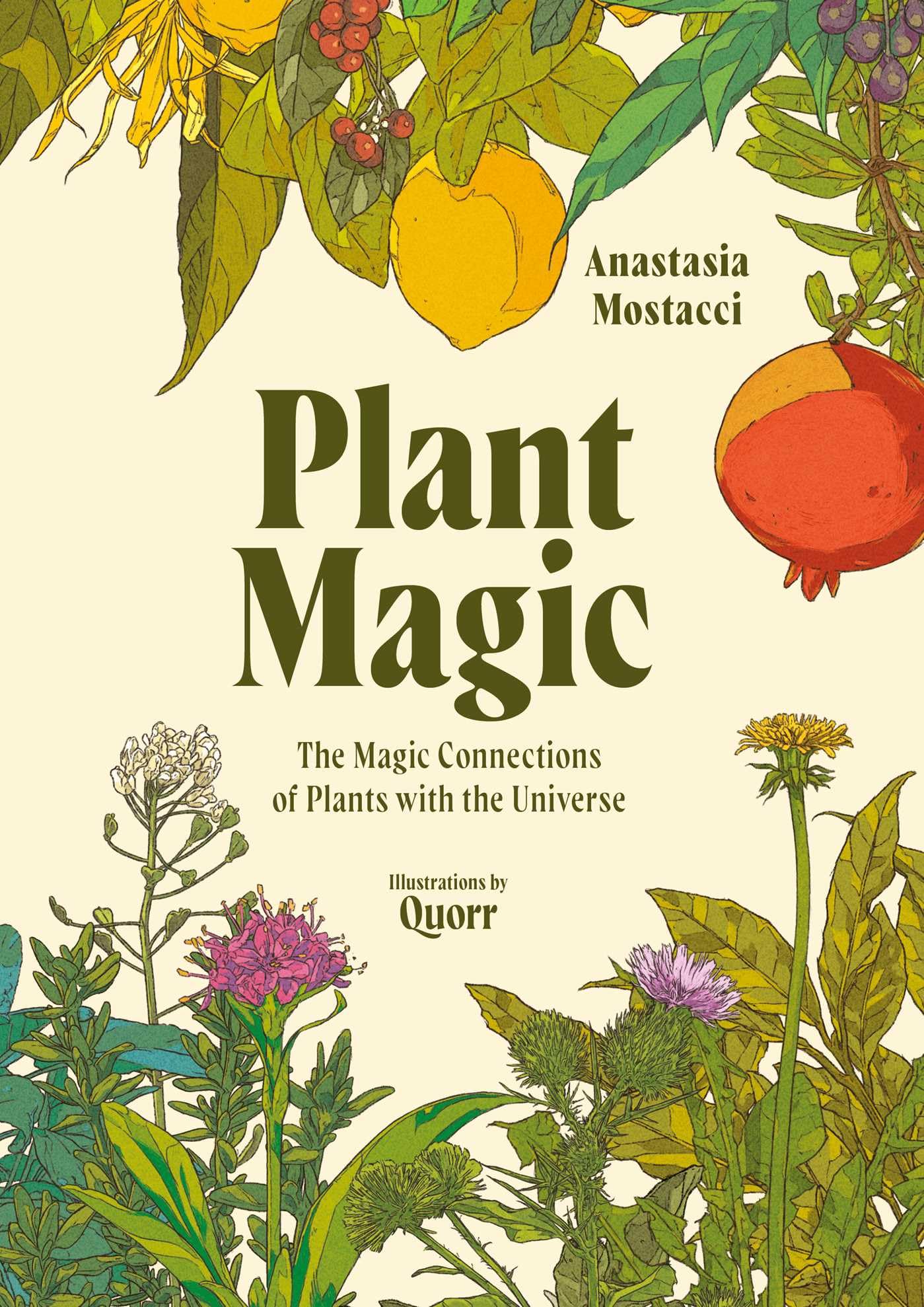 Plant Magic: The Magic Connections Of Plants With The Universe