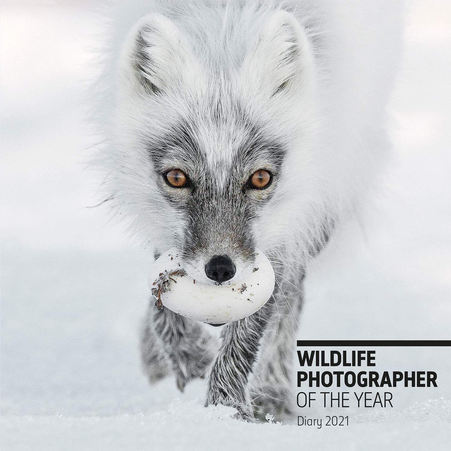 Wildlife Photographer of the Year Desk Diary 2021 (Wildlife Photographer of the Year Diaries),Used