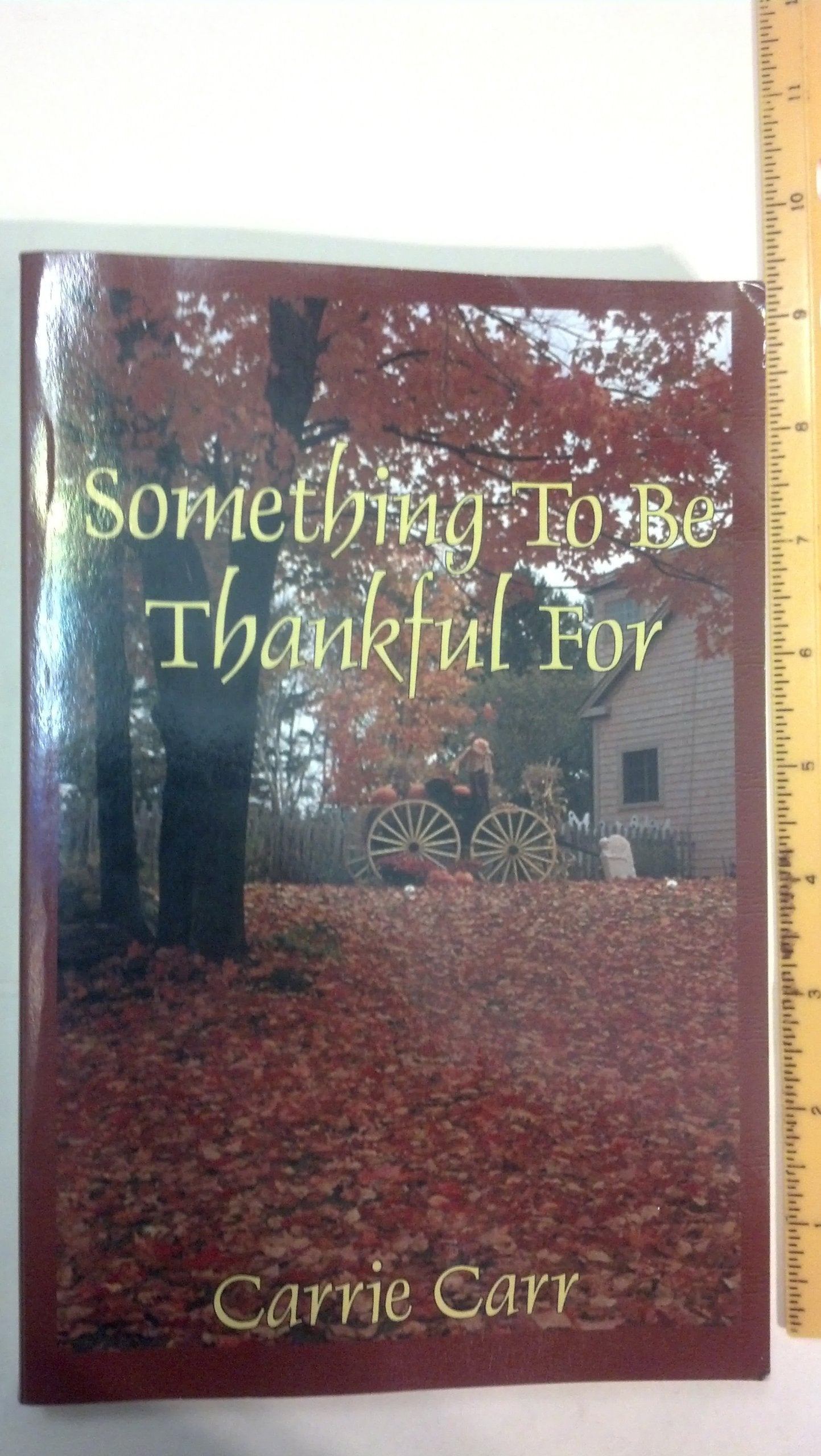 Something to Be Thankful for,Used