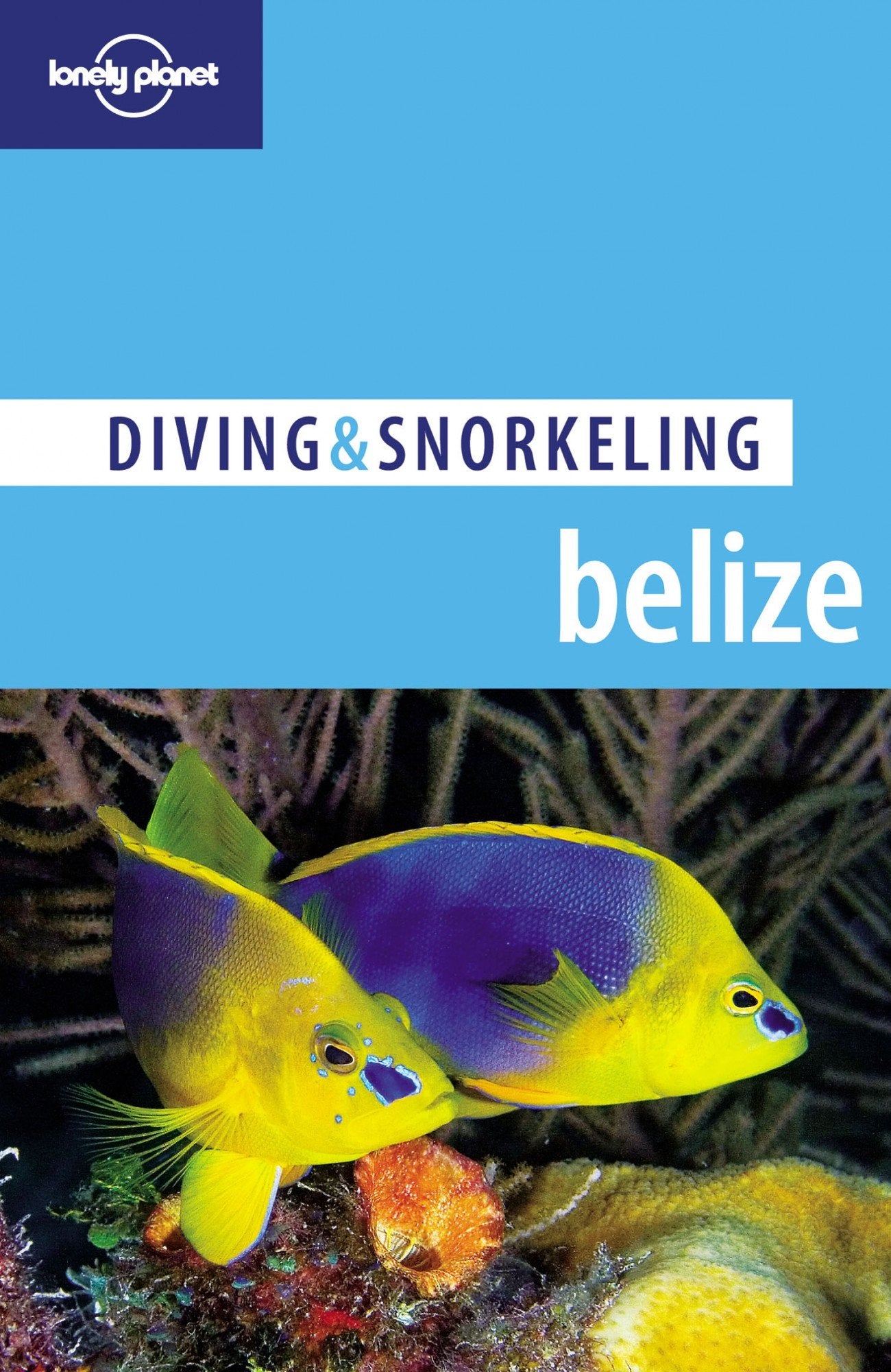Belize 4, D & S (Lonely Planet Diving and Snorkeling Guides),Used