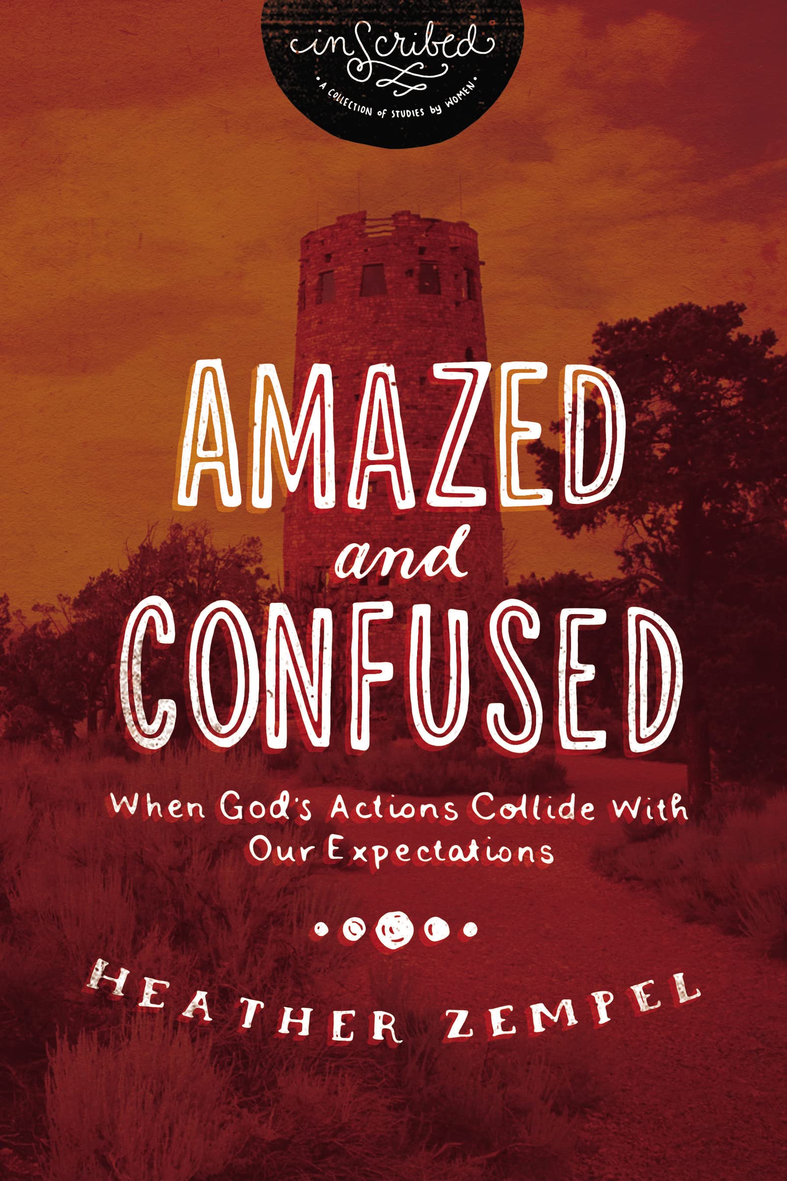 Amazed and Confused: When God's Actions Collide With Our Expectations (InScribed Collection),Used