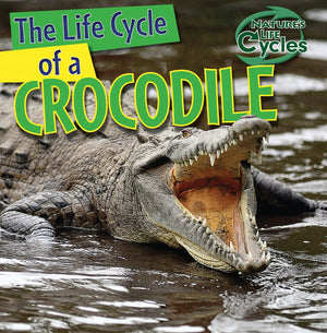 The Life Cycle of a Crocodile (Nature's Life Cycles),Used