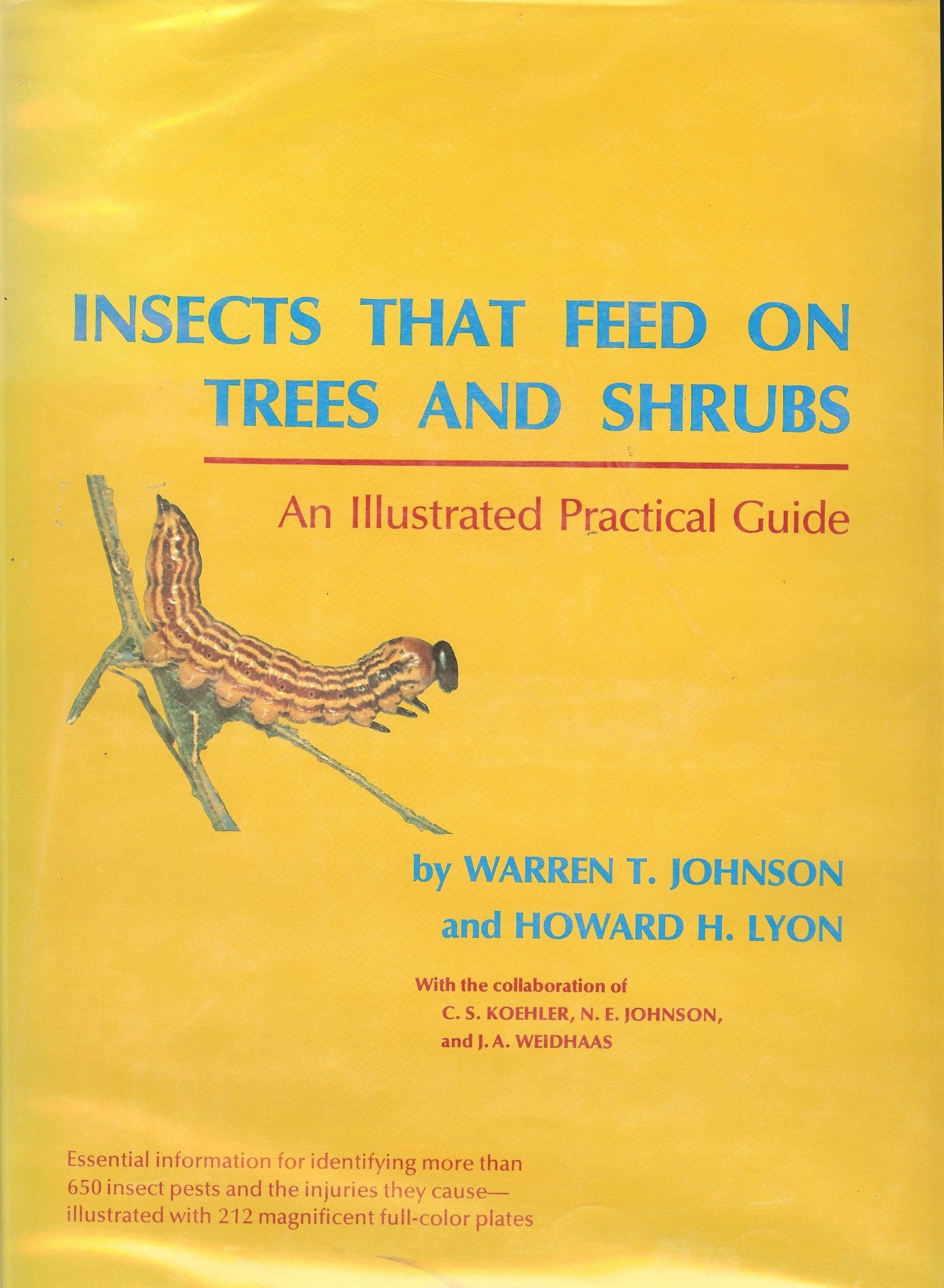 Insects That Feed on Trees and Shrubs