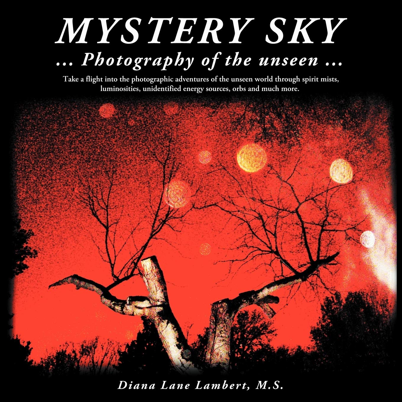 Mystery Sky: . . . Photography Of The Unseen . . .,Used