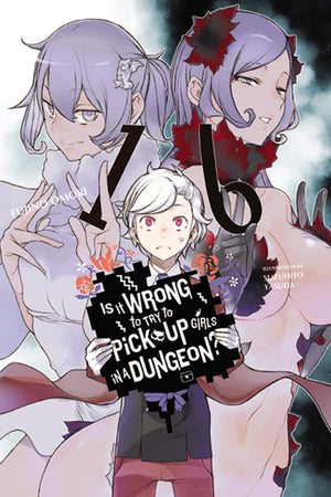 Is It Wrong To Try To Pick Up Girls In A Dungeon?, Vol. 16 (Light Novel) (Is It Wrong To Try To Pick Up Girls In A Dungeon? Memo,Used