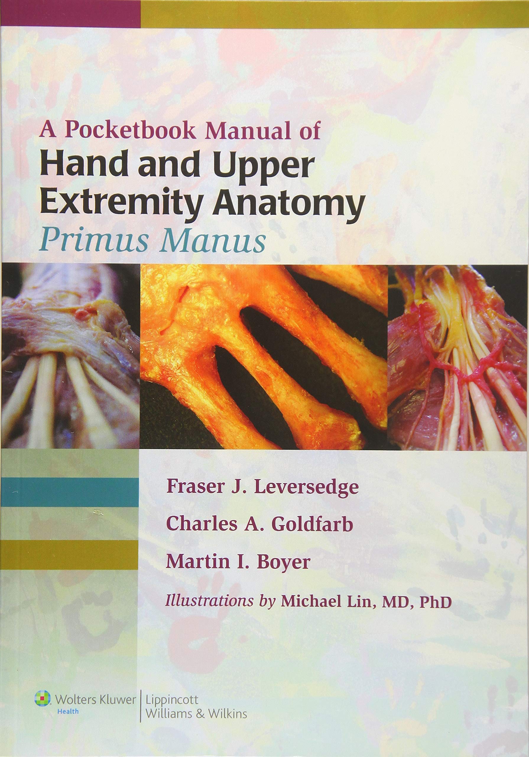 A Pocketbook Manual of Hand and Upper Extremity Anatomy: Primus Manus,New