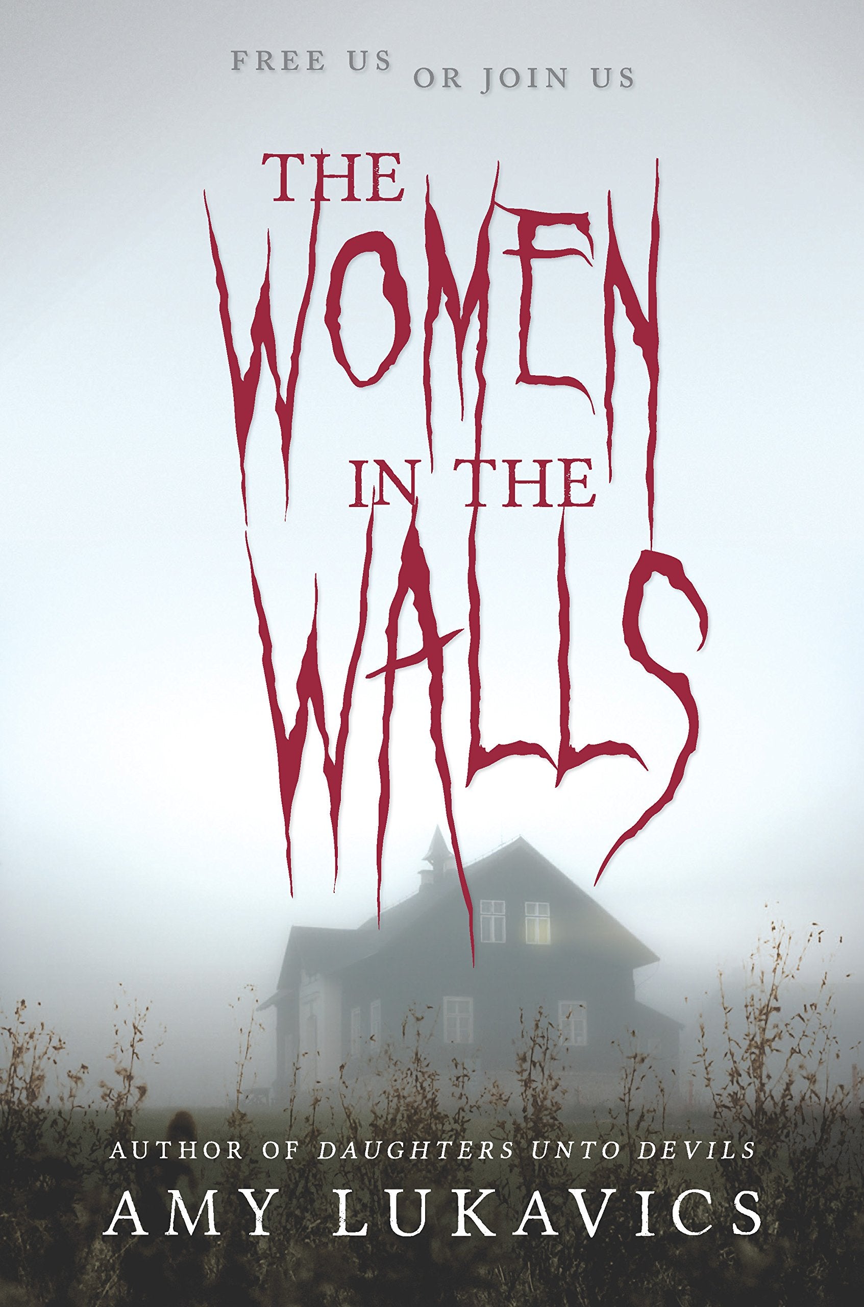 The Women in the Walls: A dark and dangerous tale,Used