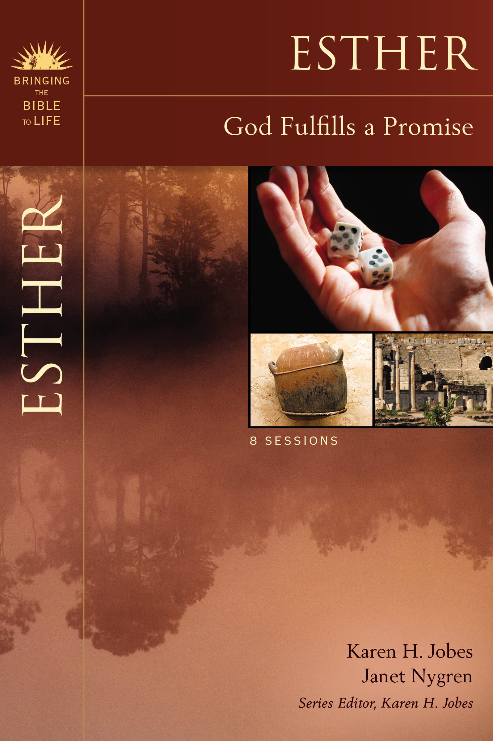 Esther: God Fulfills a Promise (Bringing the Bible to Life),Used