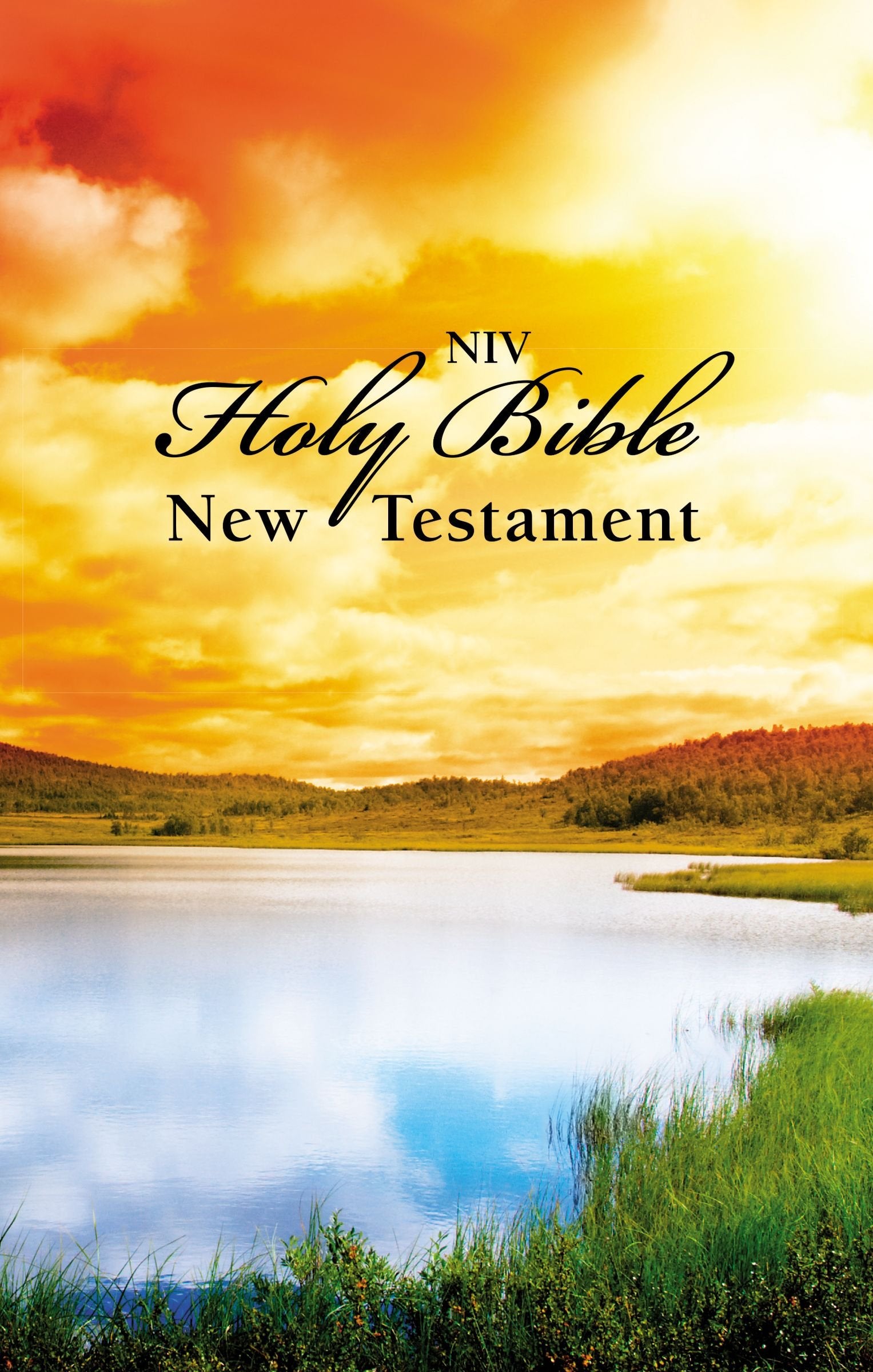 New Testament: New International Version, Scenic,Used