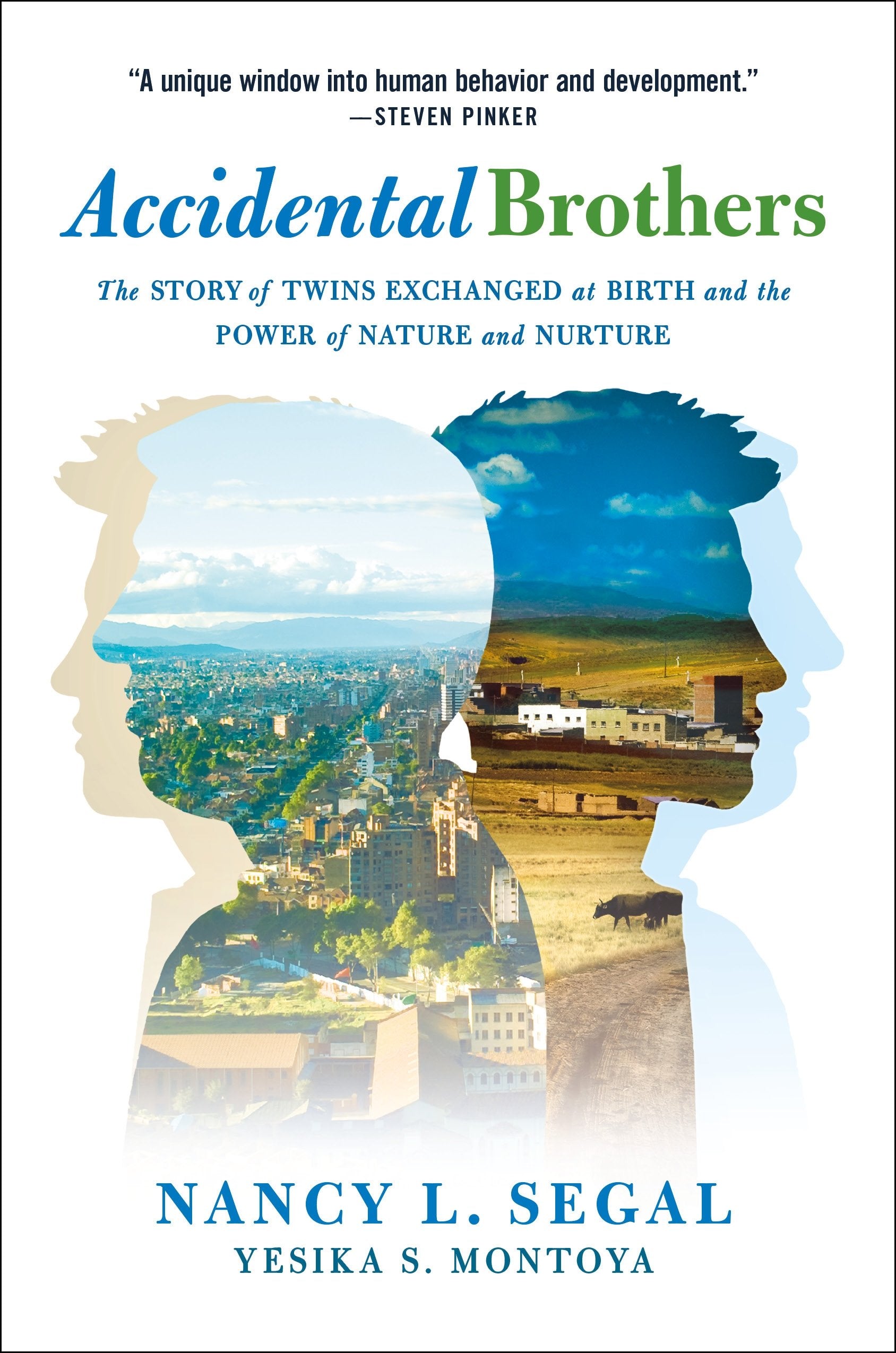 Accidental Brothers: The Story of Twins Exchanged at Birth and the Power of Nature and Nurture,Used