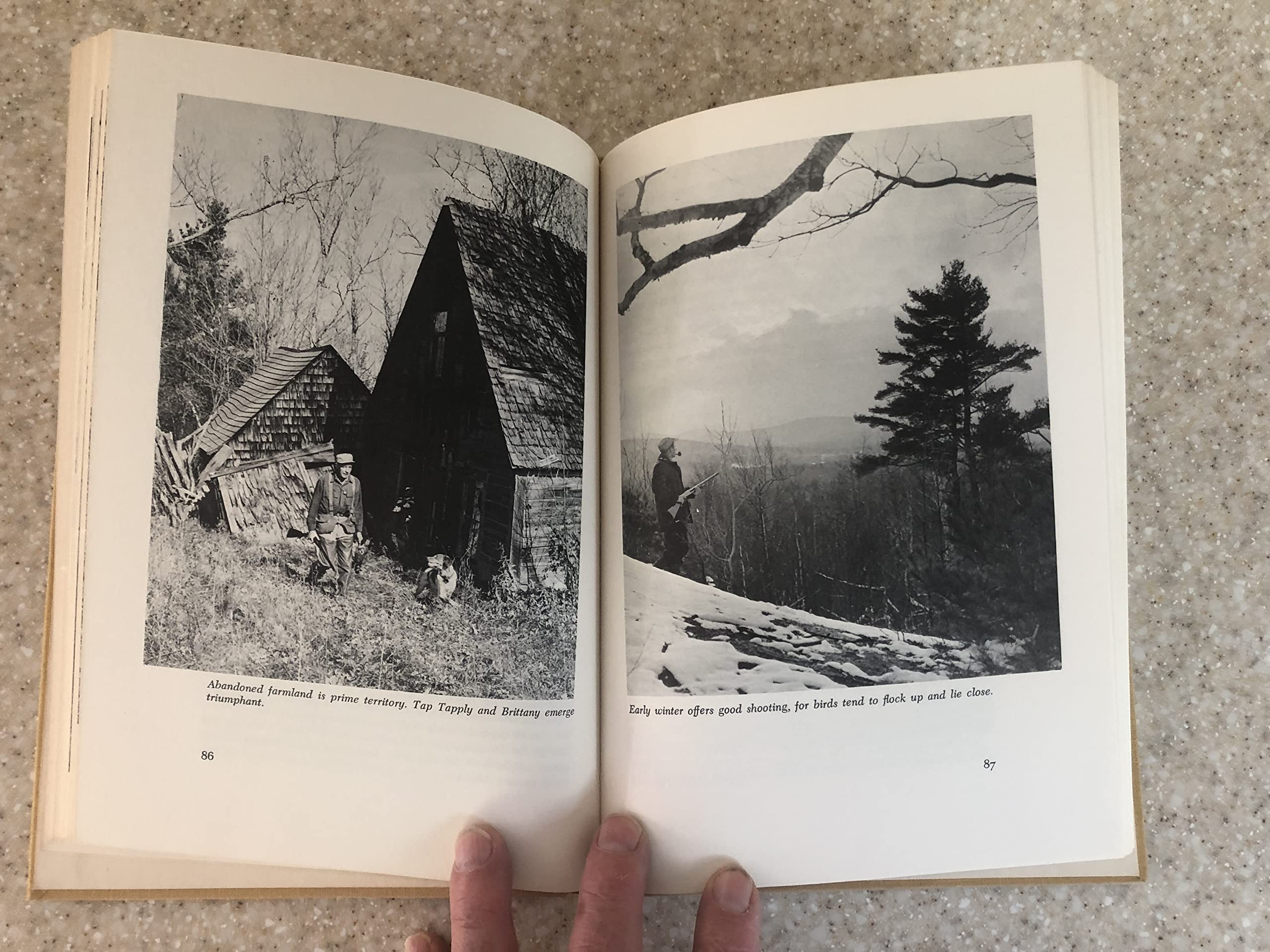 Grouse and Grouse Hunting,Used