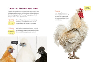 How To Speak Chicken: Why Your Chickens Do What They Do & Say What They Say