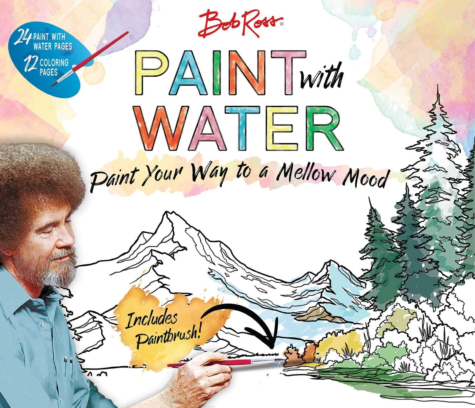 Bob Ross Paint with Water,Used