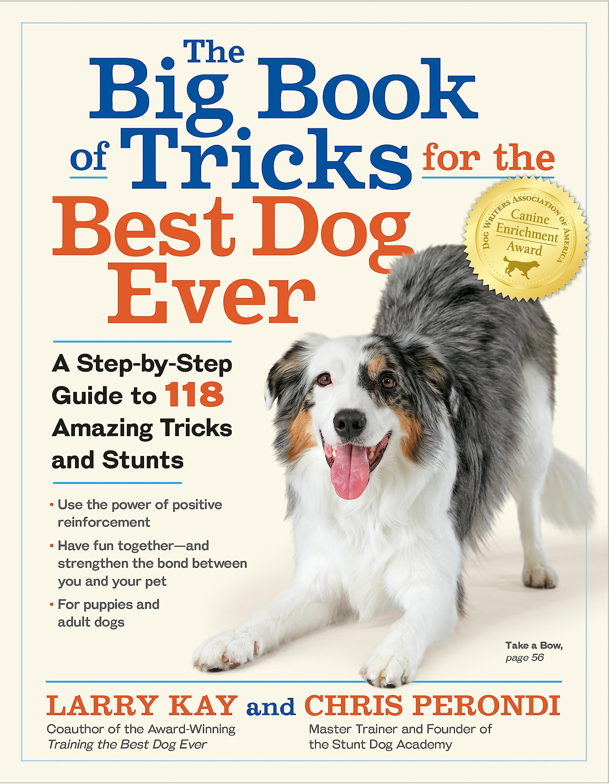 The Big Book of Tricks for the Best Dog Ever: A StepbyStep Guide to 118 Amazing Tricks and Stunts,Used