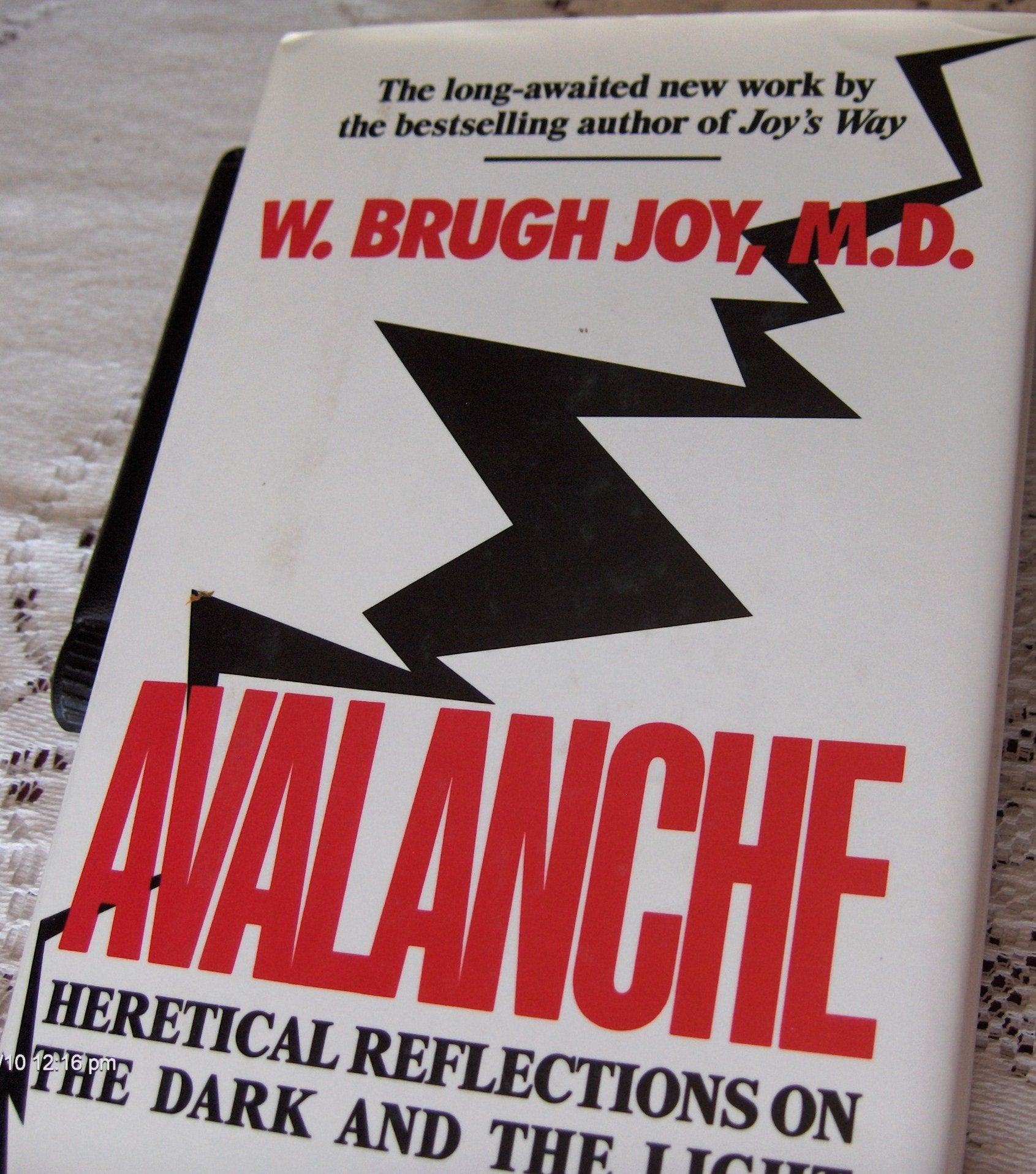 Avalanche: Heretical Reflections on the Dark and the Light,Used