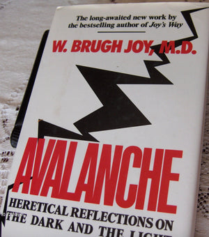 Avalanche: Heretical Reflections on the Dark and the Light,Used