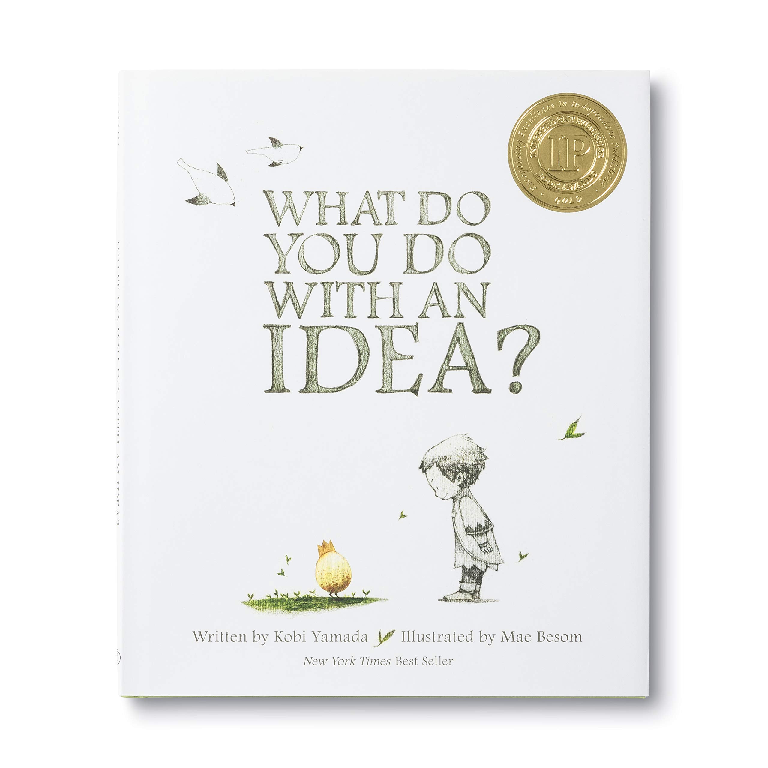 What Do You Do With an Idea?  New York Times best seller,Used