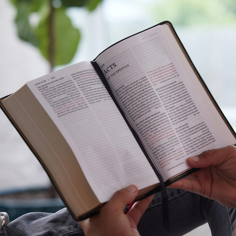 NKJV, Deluxe EndofVerse Reference Bible, Personal Size Large Print, Leathersoft, Black, Thumb Indexed, Red Letter, Comfort Pri,Used