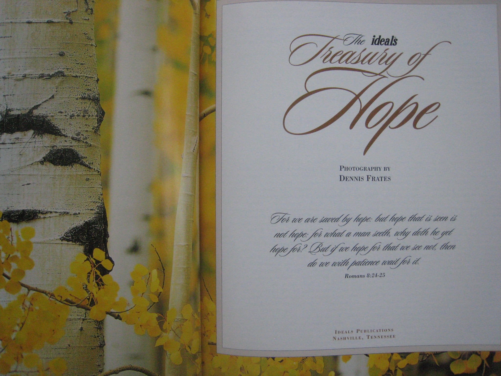 The Ideals Treasury Of Hope,Used