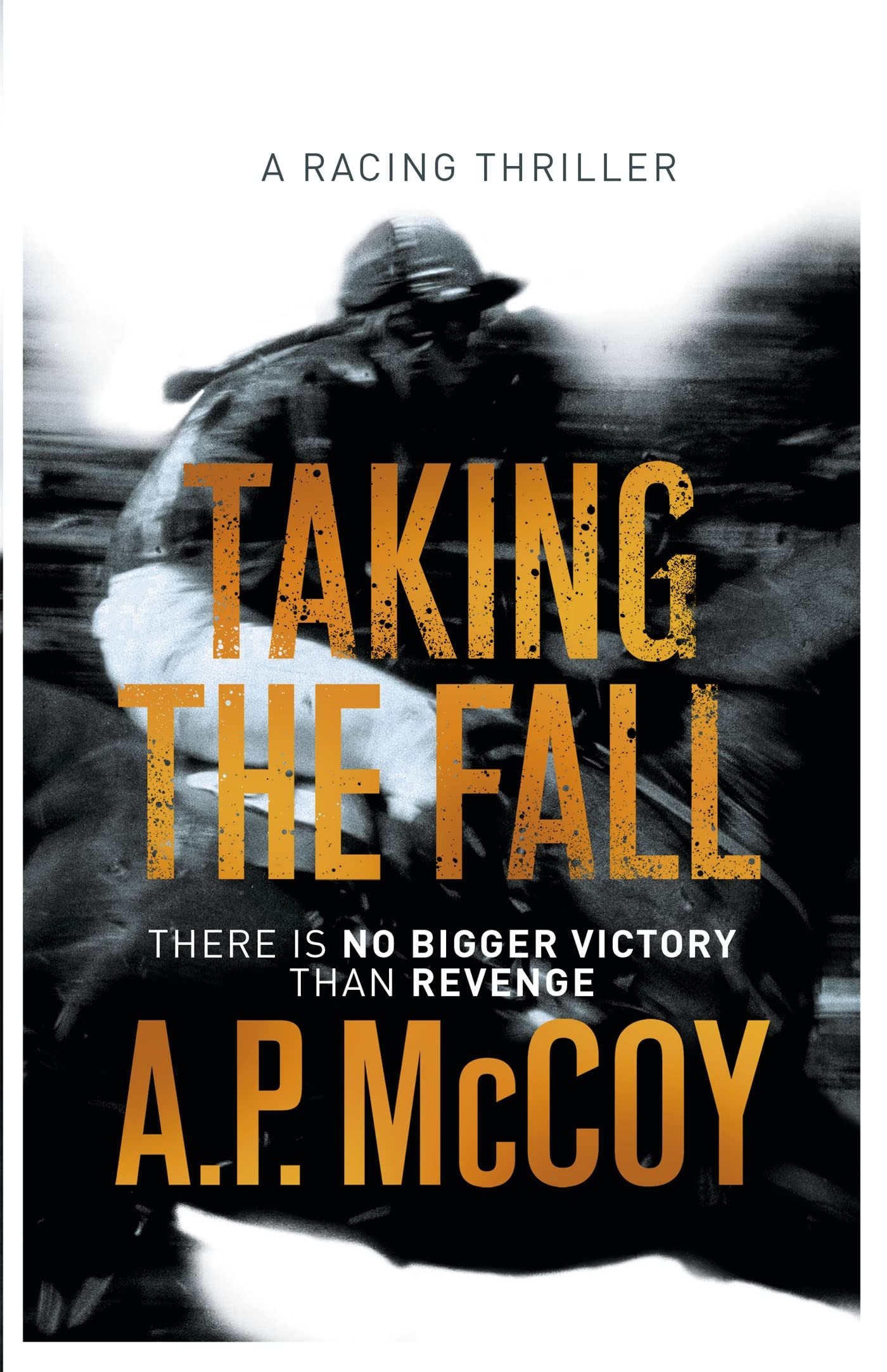 Taking The Fall: A Novel