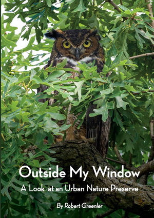 Outside My Window: A Look at an Urban Nature Preserve,Used