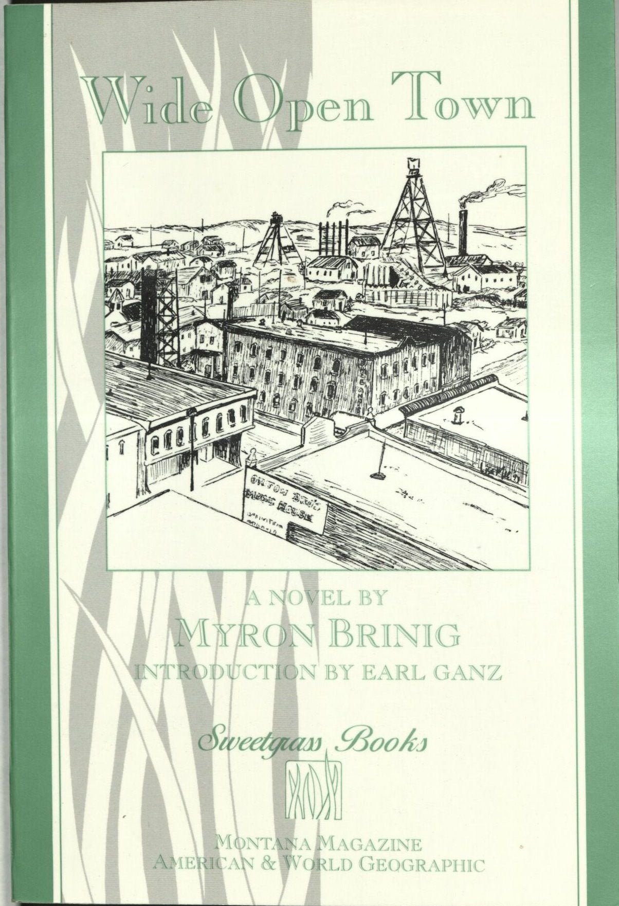 Wide Open Town: A Novel (Sweetgrass Books),Used