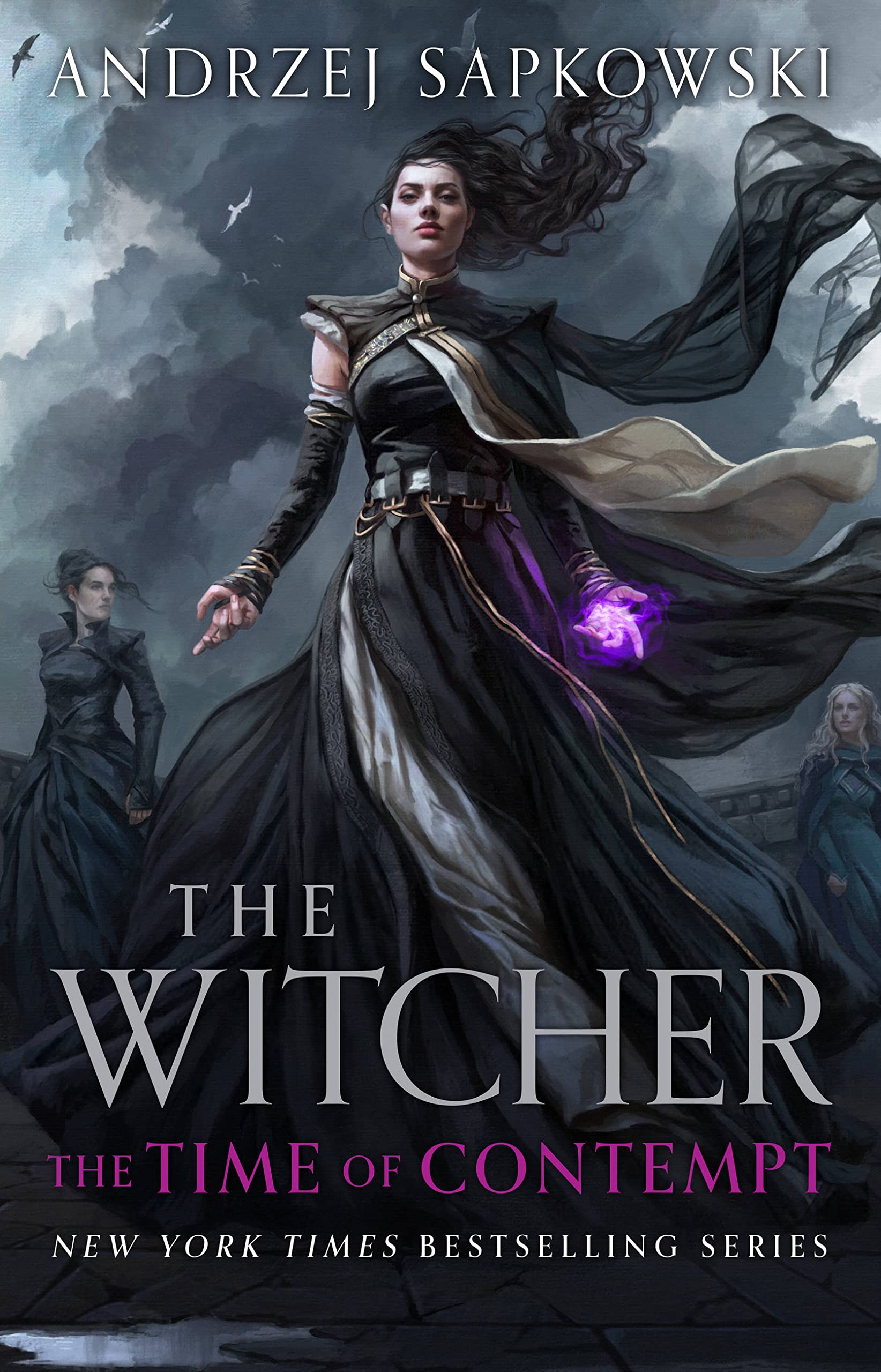 The Time Of Contempt (The Witcher, 4)-new