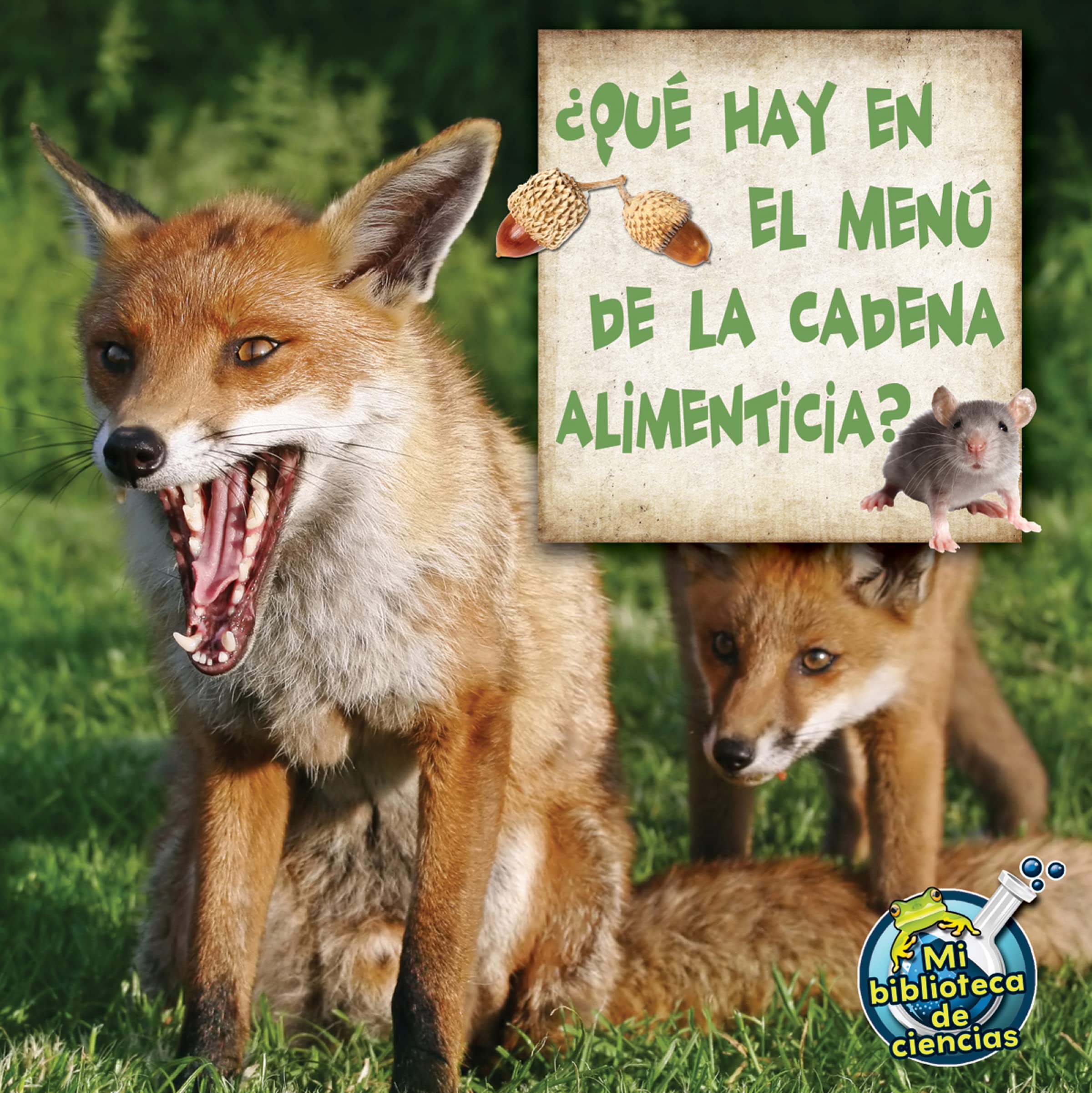 Rourke Educational Media Qu hay en el men de la cadena alimenticia? (My Science Library) (Spanish Edition),Used